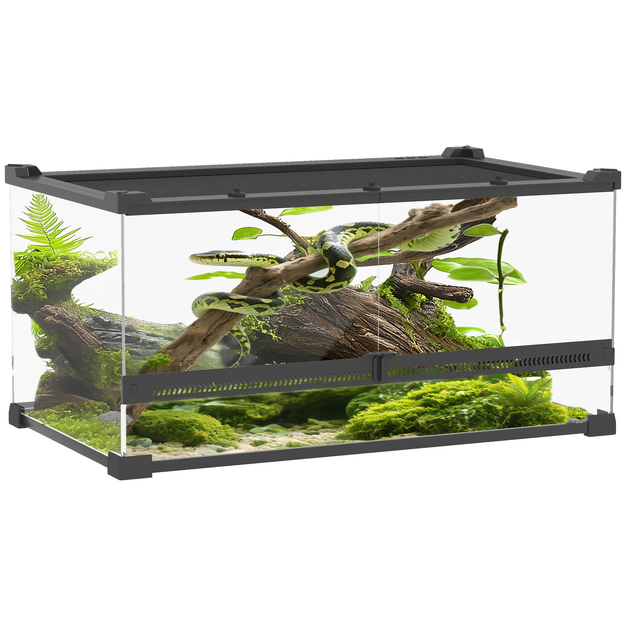 Terrario panorámico de vidrio de 360° para reptiles