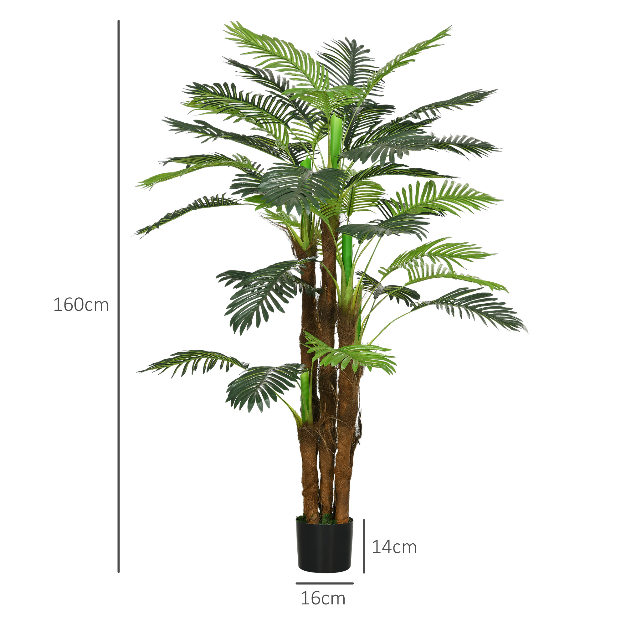 T0002-01-10781