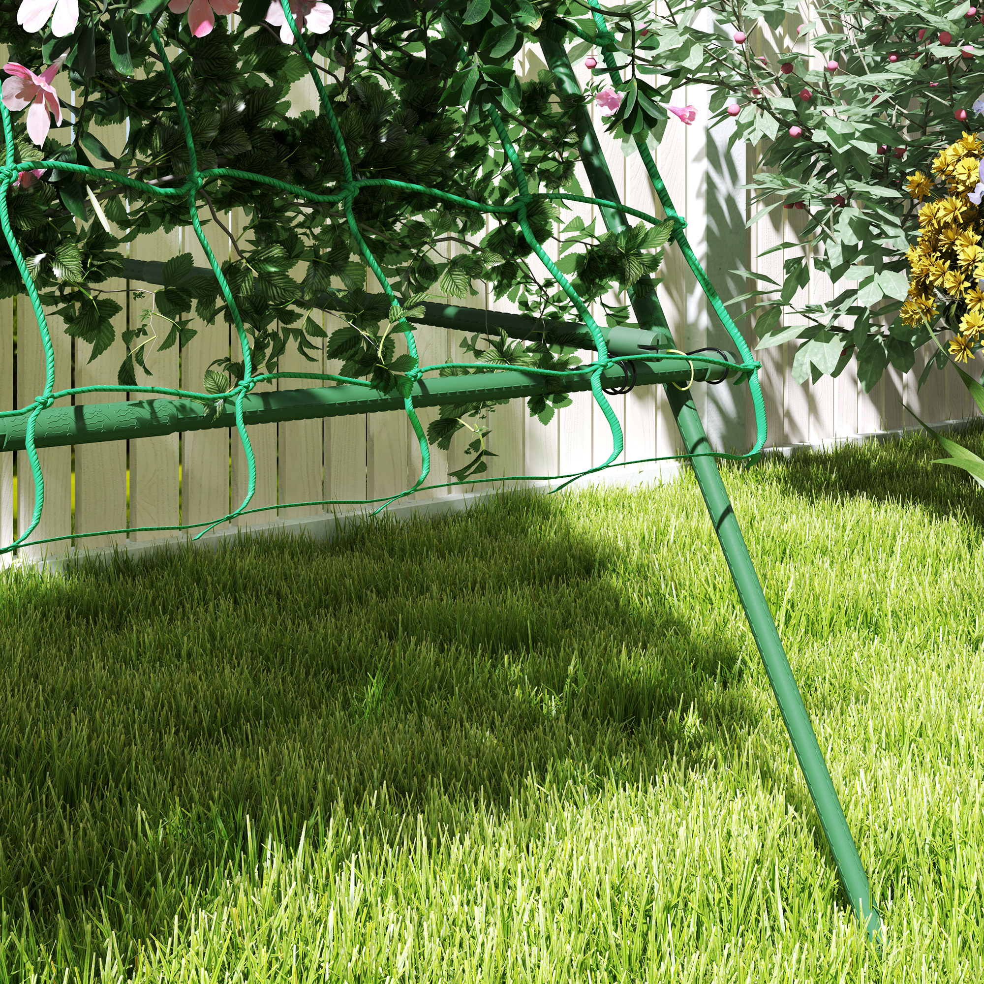T0002-01-11339 image 6