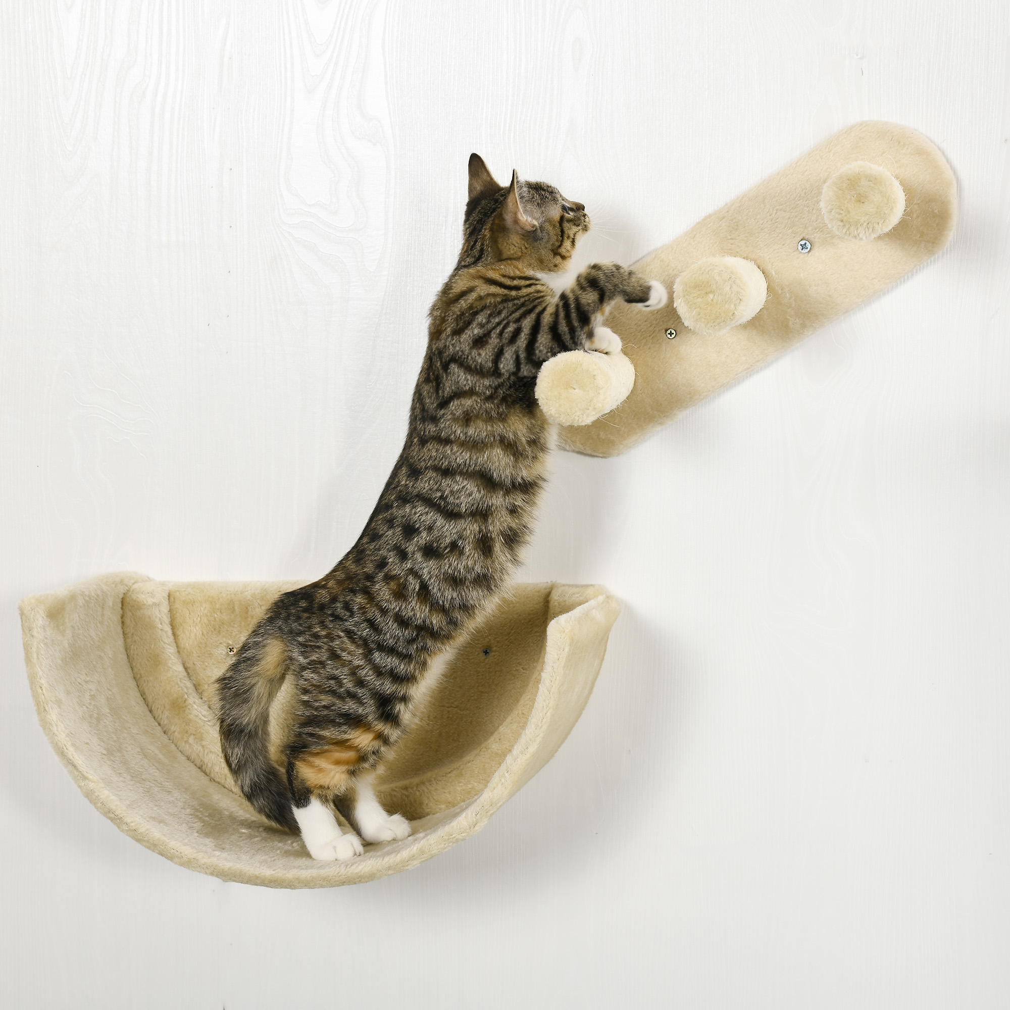 Set escalade mural pour chat 4 pièces étagères avec hamac_voghion.com