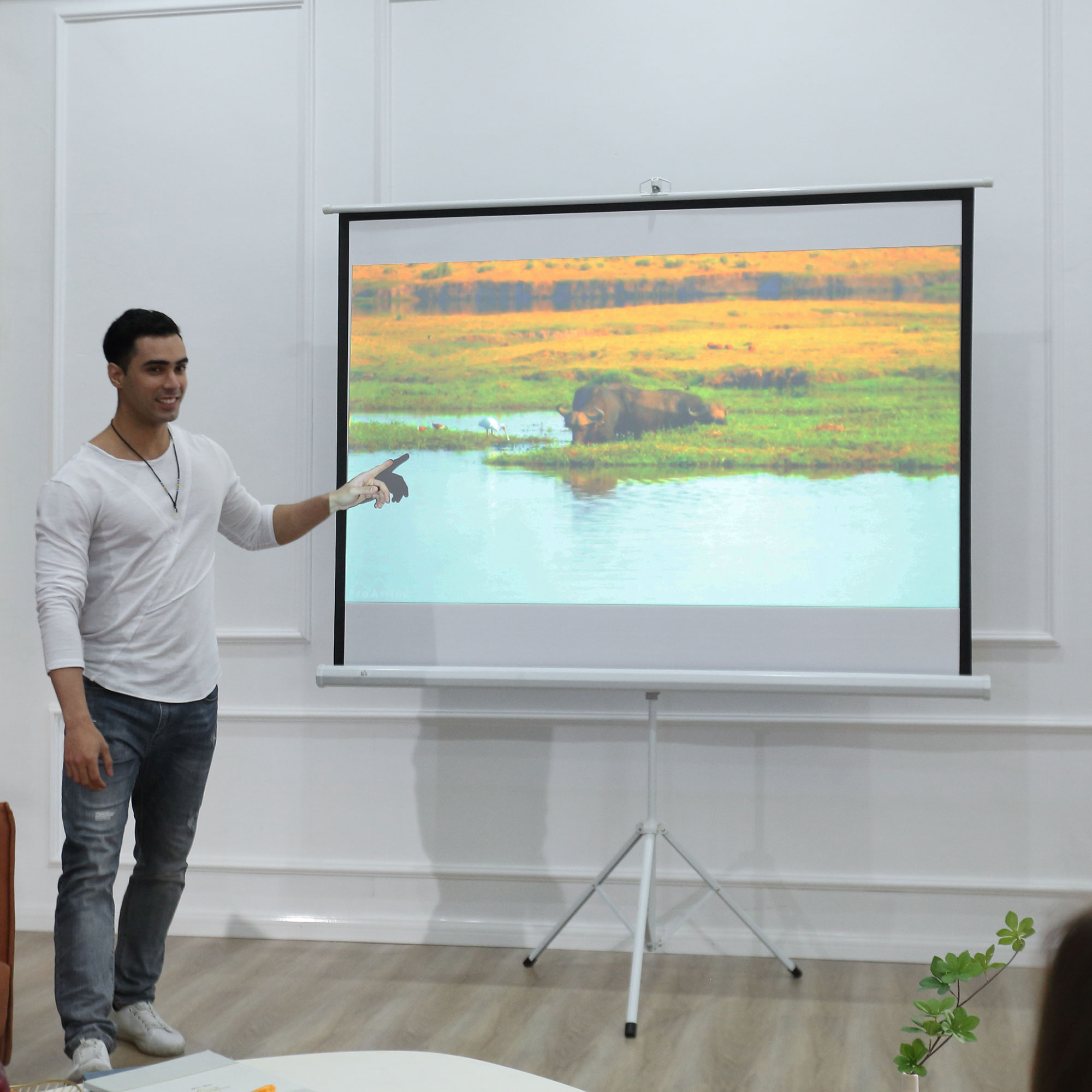 Projektionsleinwand im 4:3-Format, Kinoleinwand, Präsentationsfläche für Zuhause oder Büro, Weiß_voghion.com