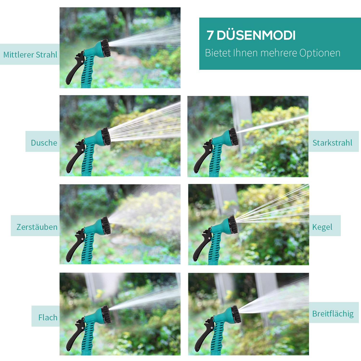 T0002-01-12595 image 1