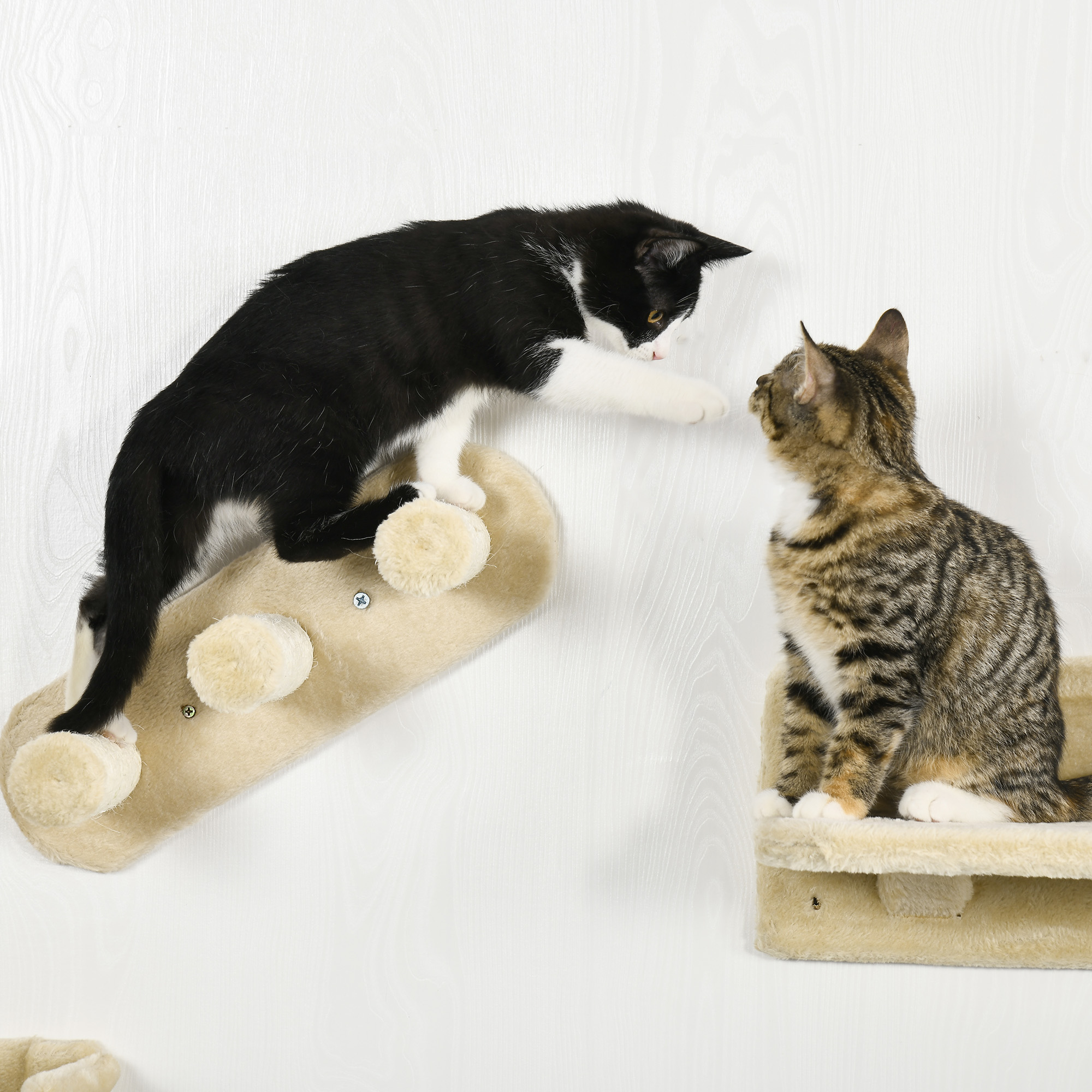 Set escalade mural pour chat 4 pièces étagères avec hamac_voghion.com