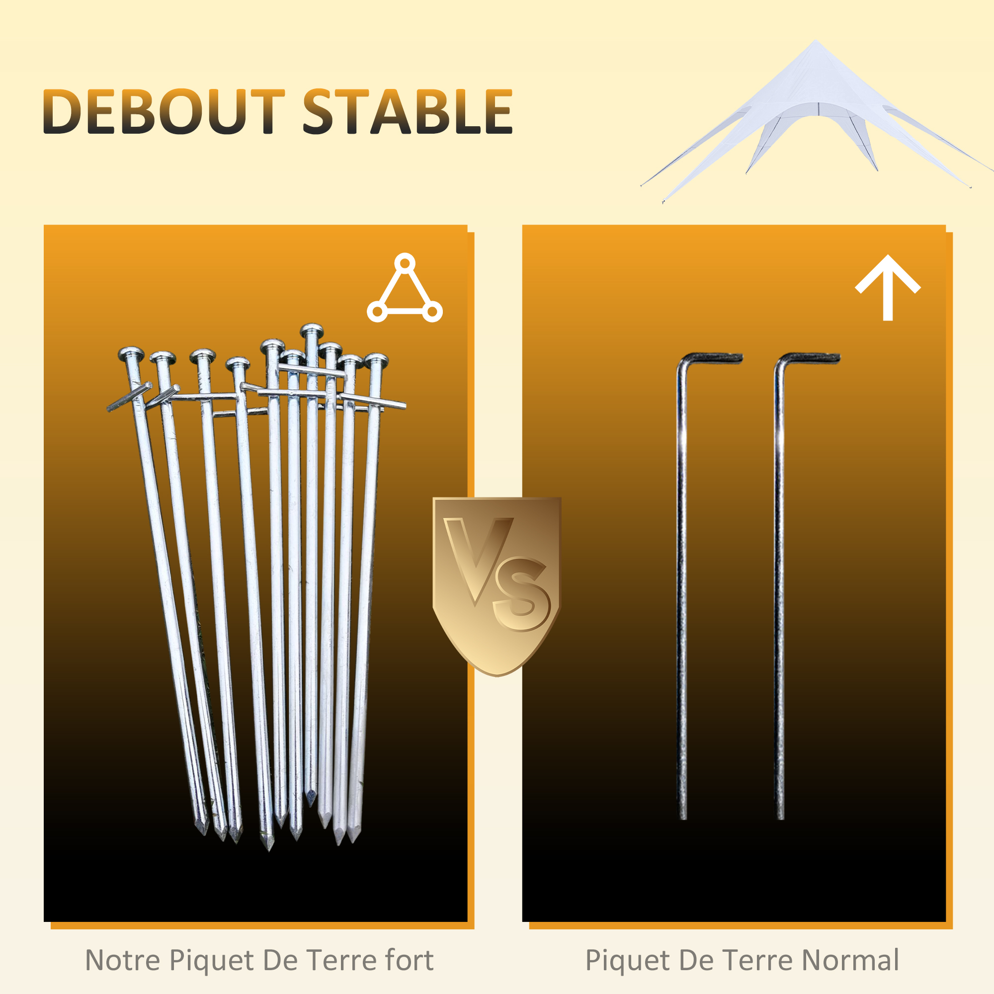 T1003-01-06592 image 2