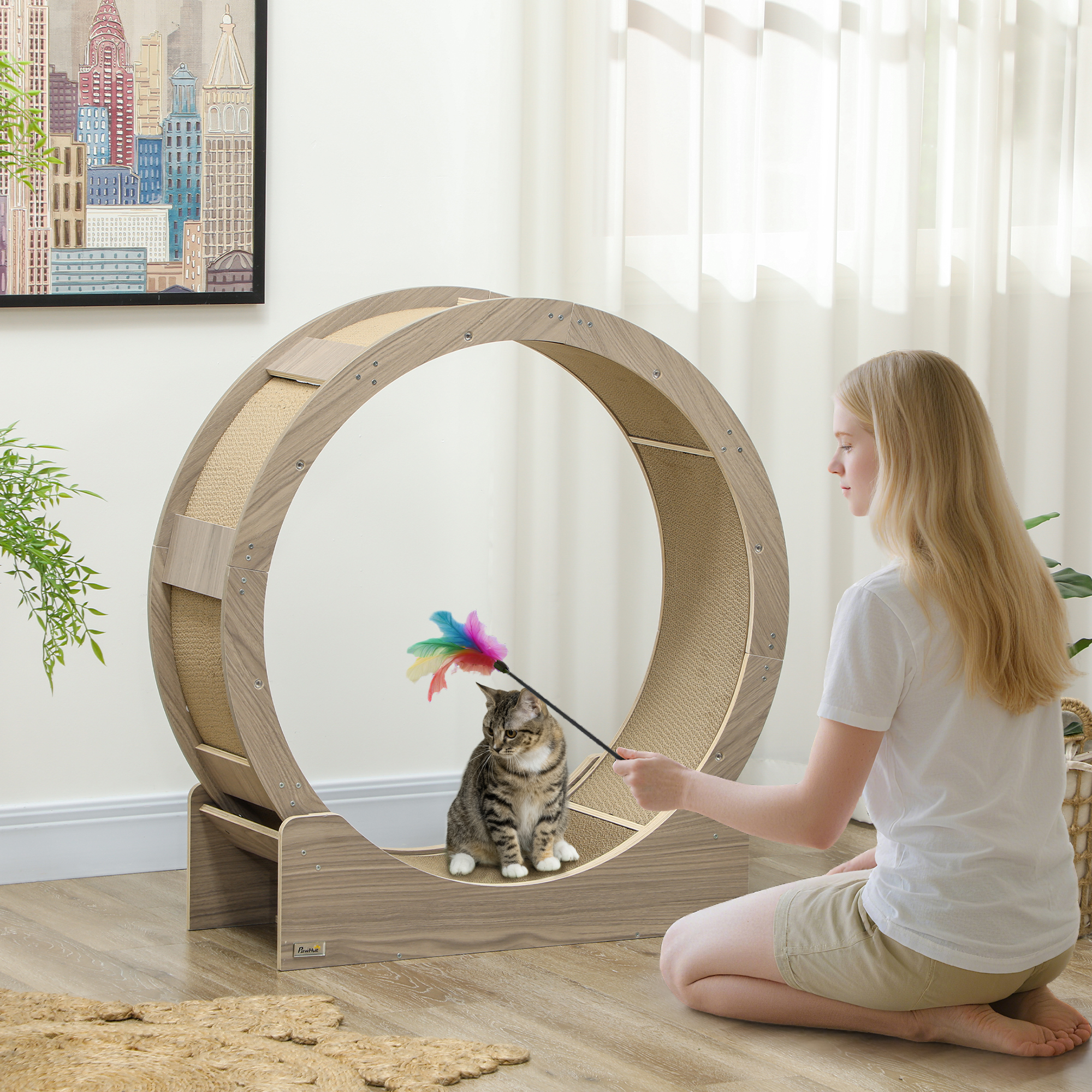 Roue avec chat courant