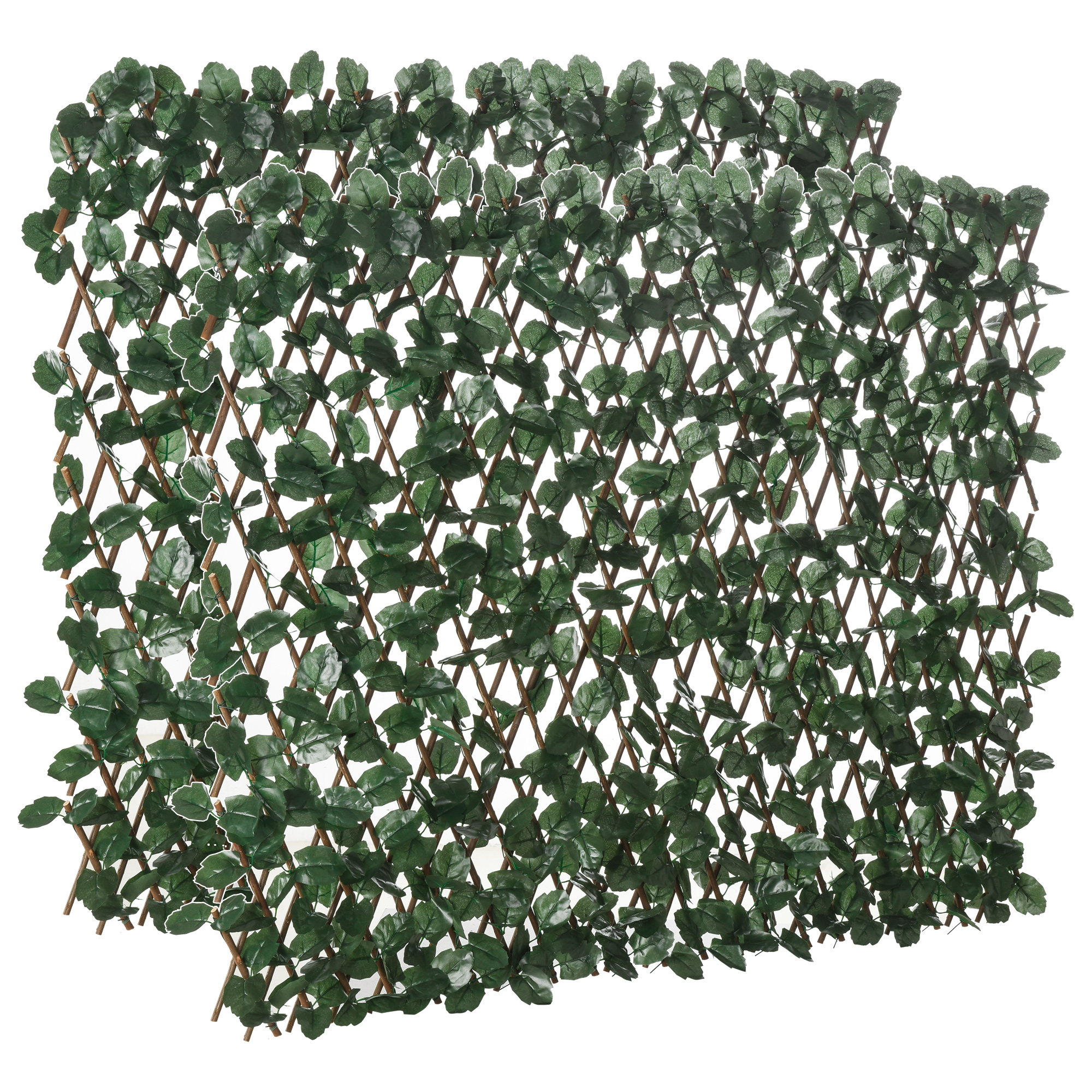 T1003-01-08419 image 7