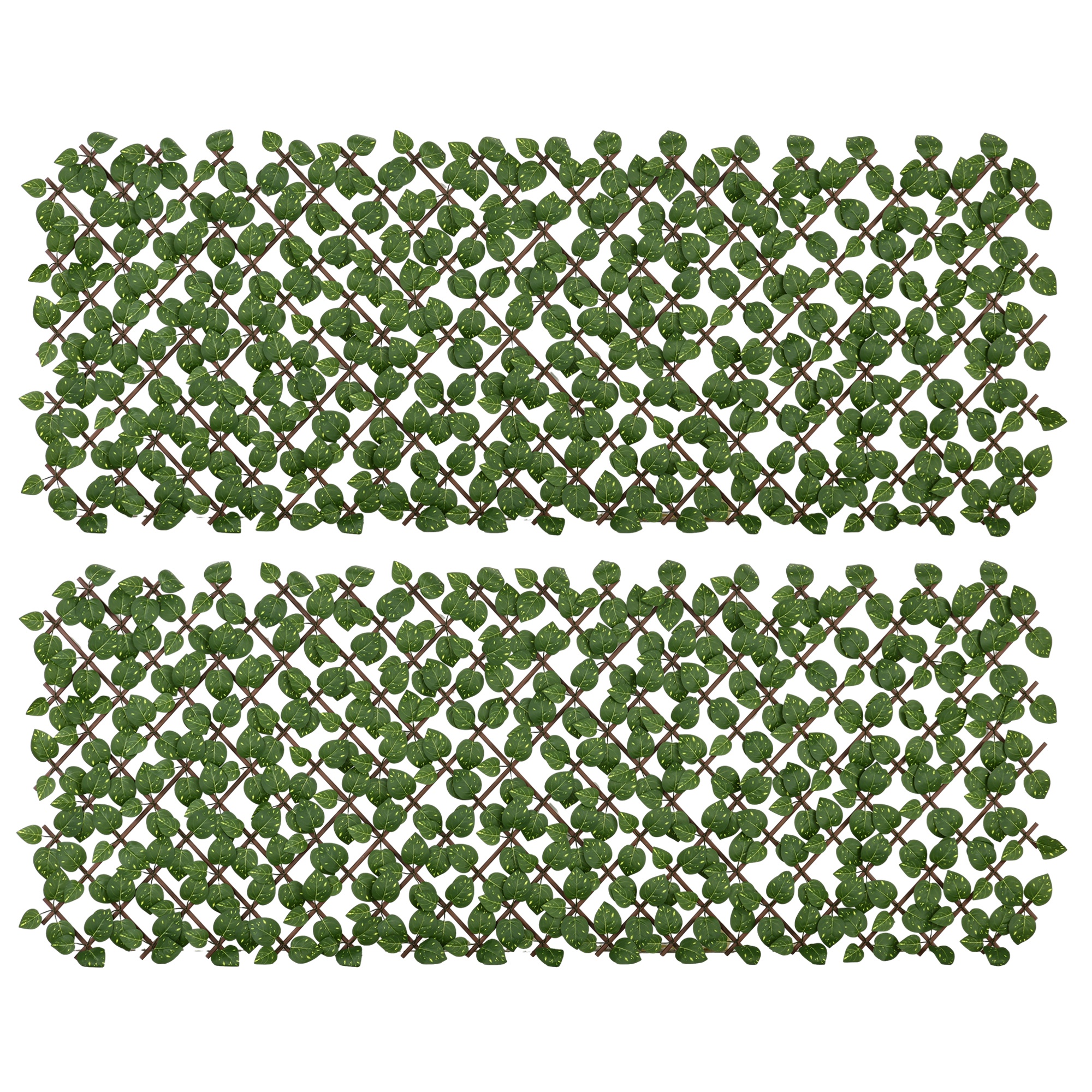 T1003-01-08938 image 7