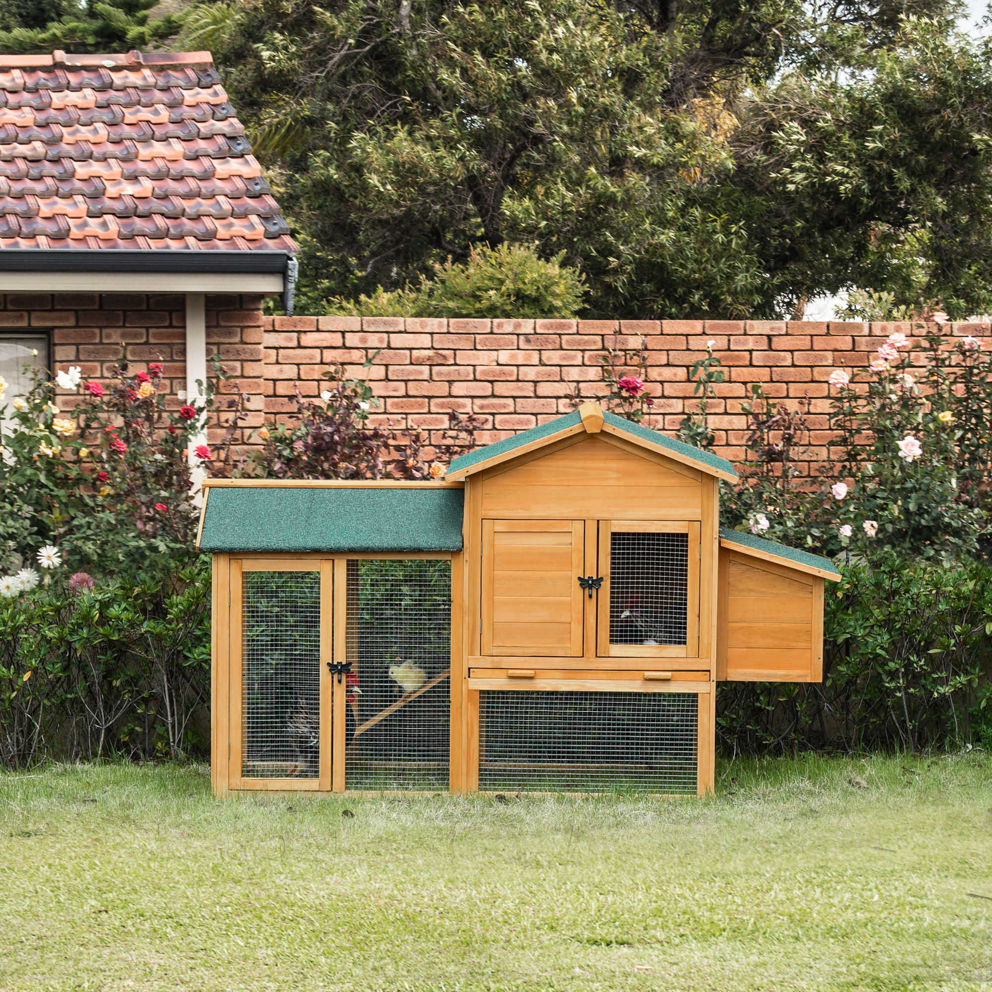 Gallinero para patio trasero gallinas – ejemplo