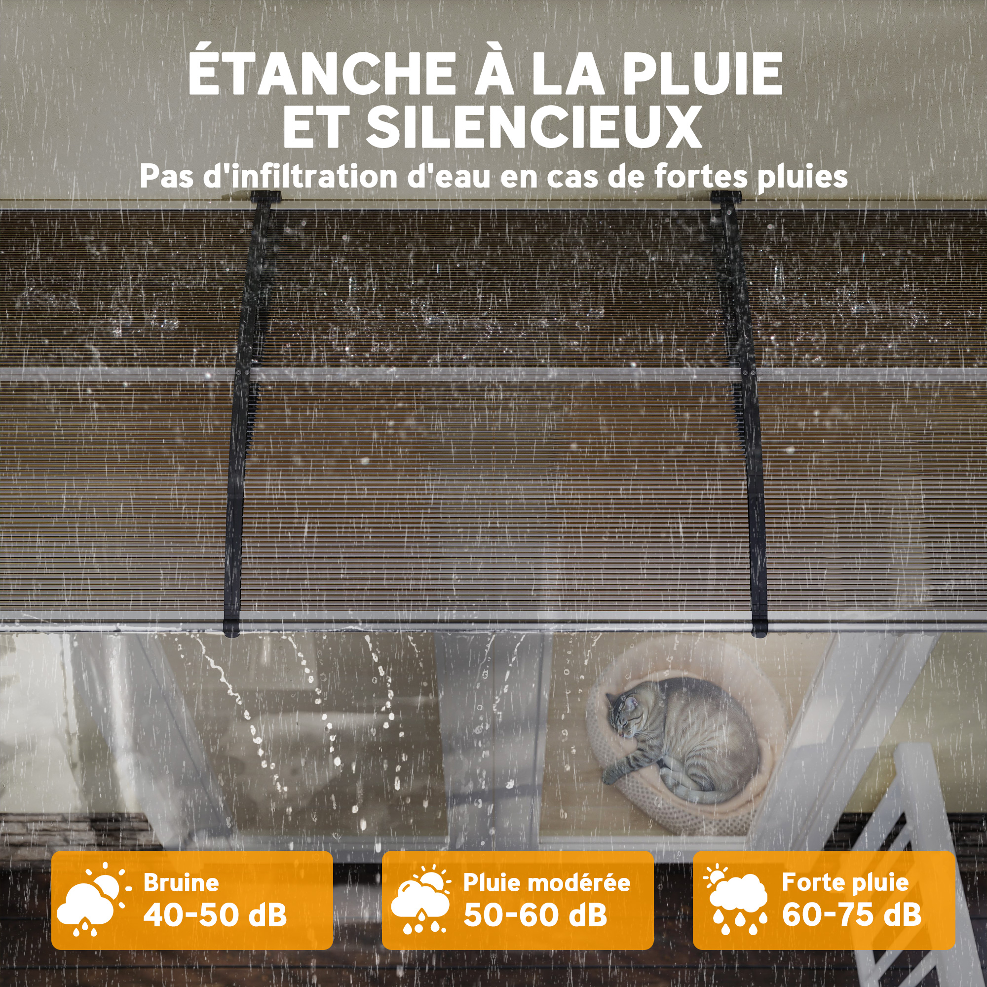 vue supplémentaire