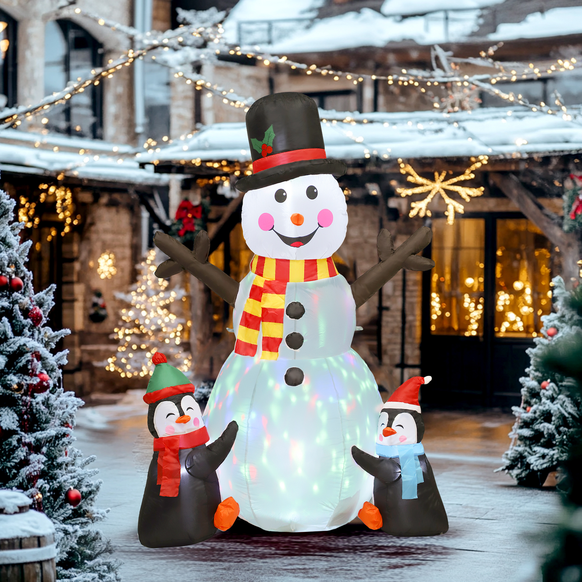 Vue du produit