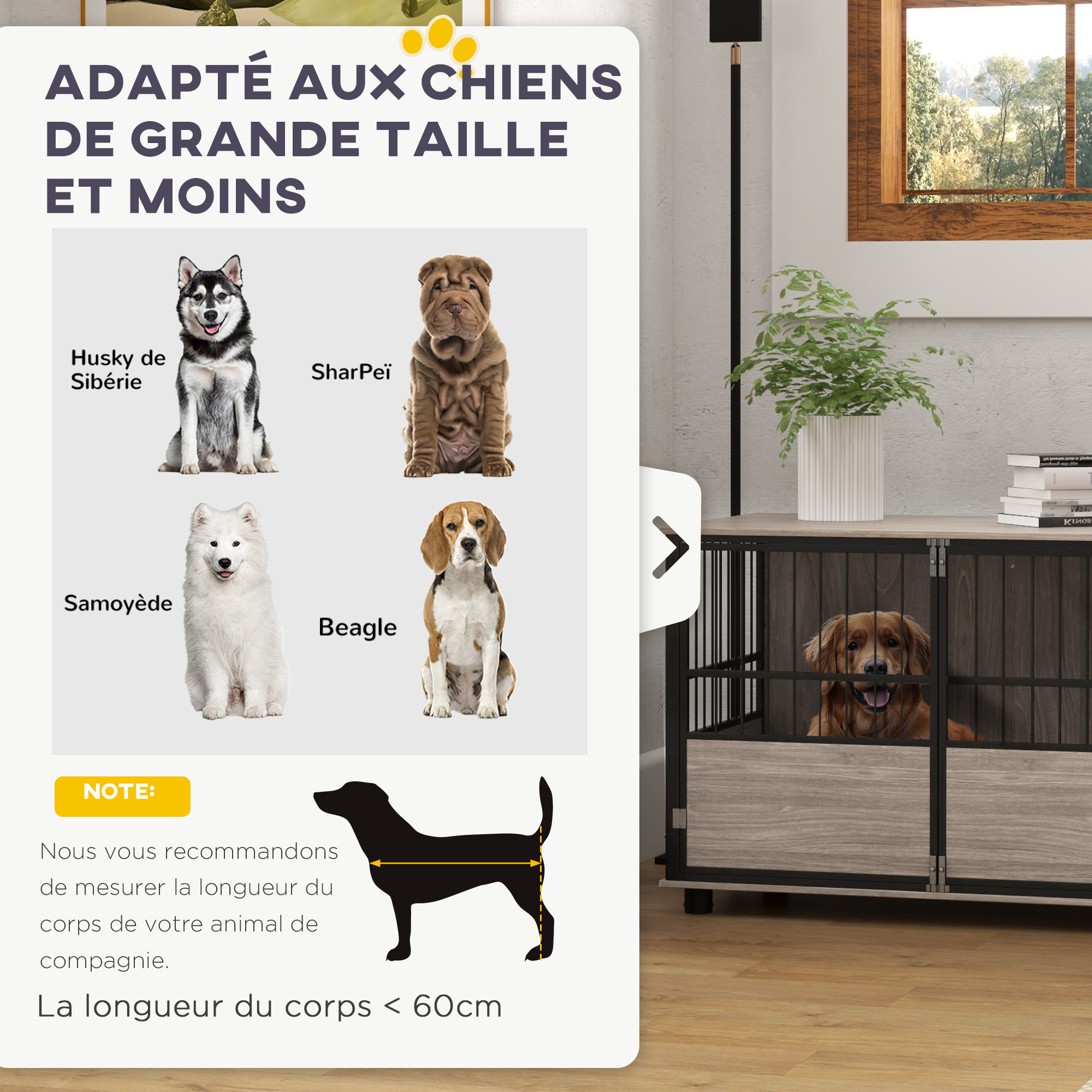 vue supplémentaire