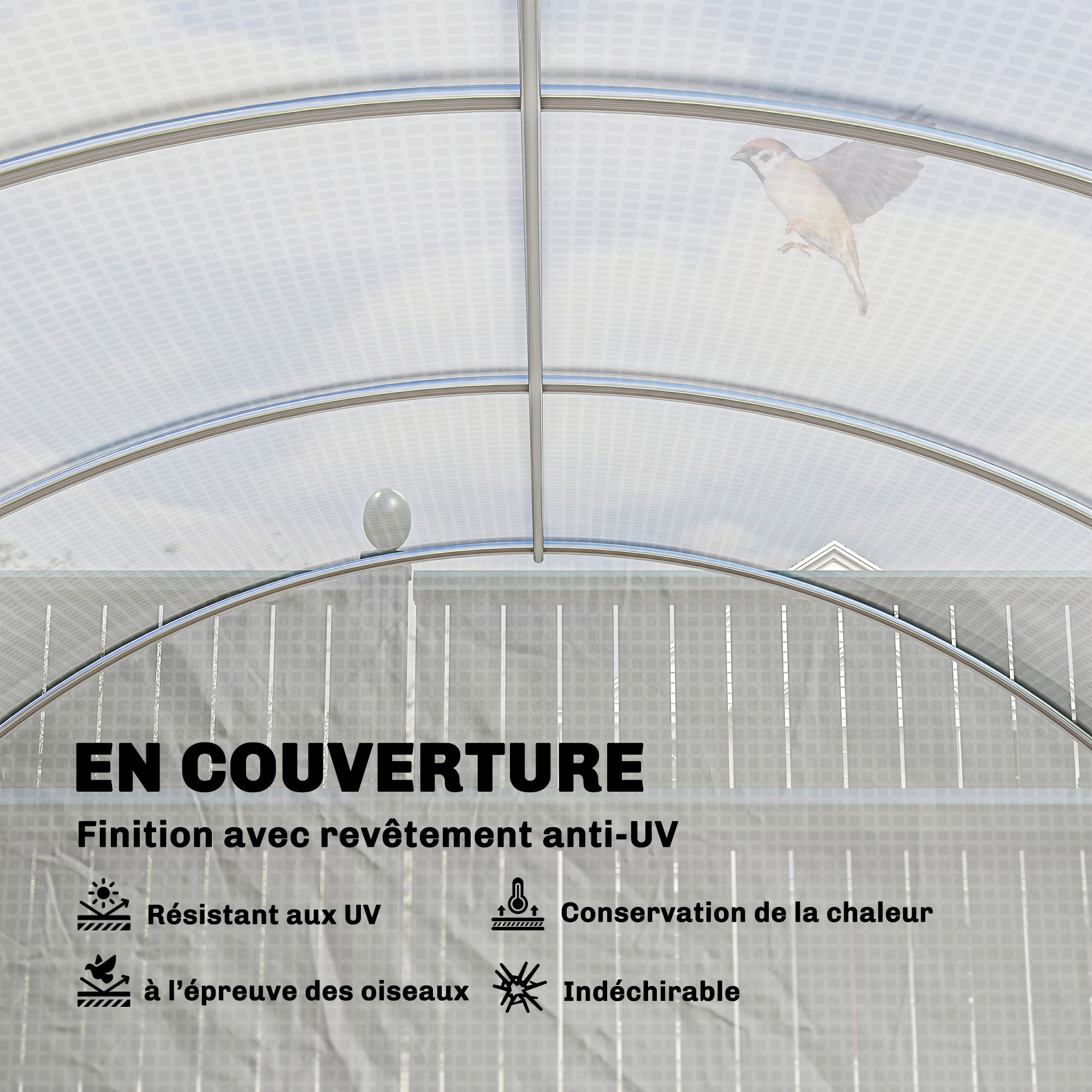 vue supplémentaire