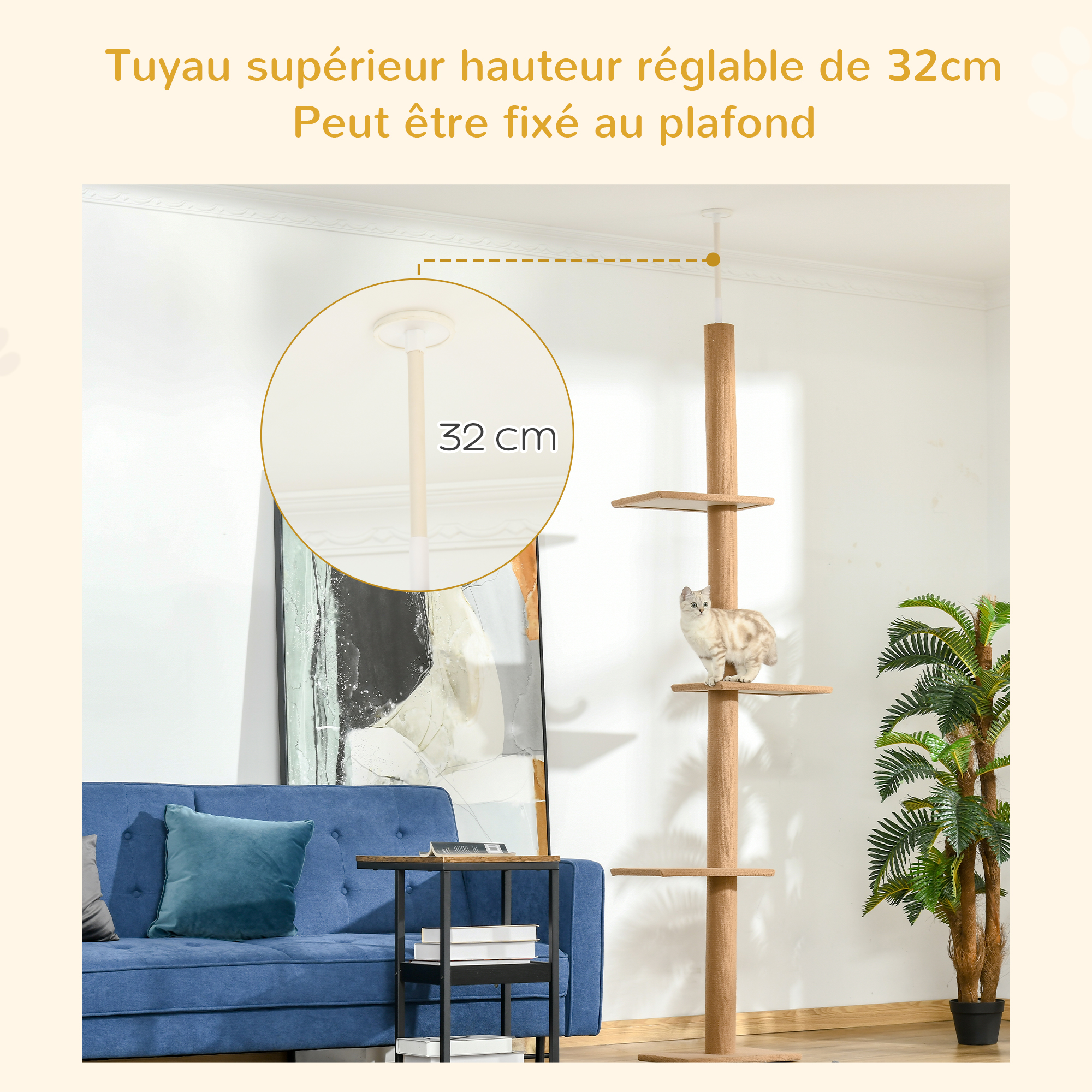 Vue du produit