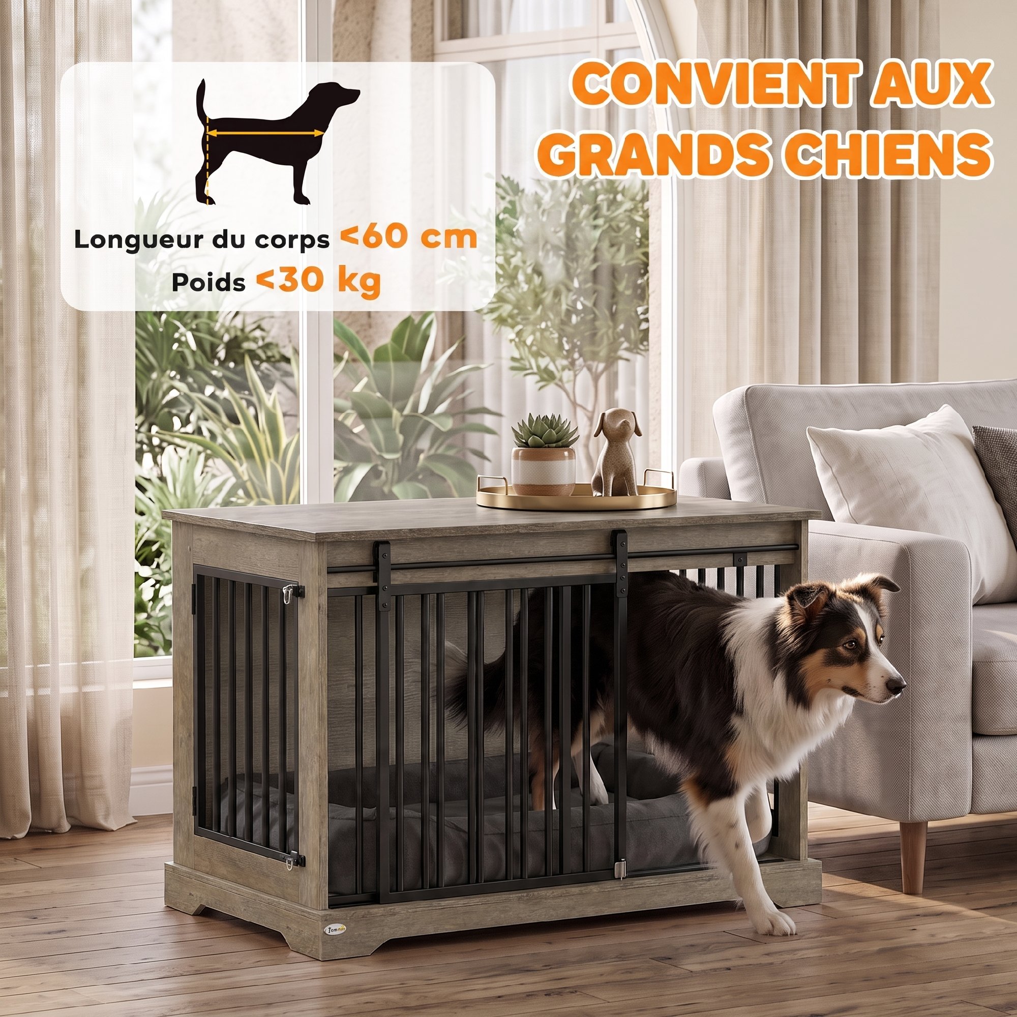 vue supplémentaire
