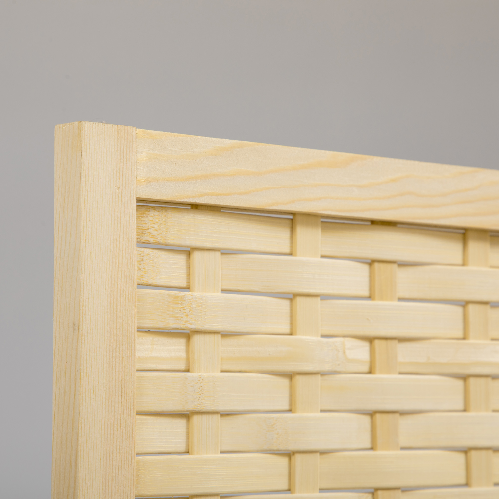 T1005-01-02039 image 6