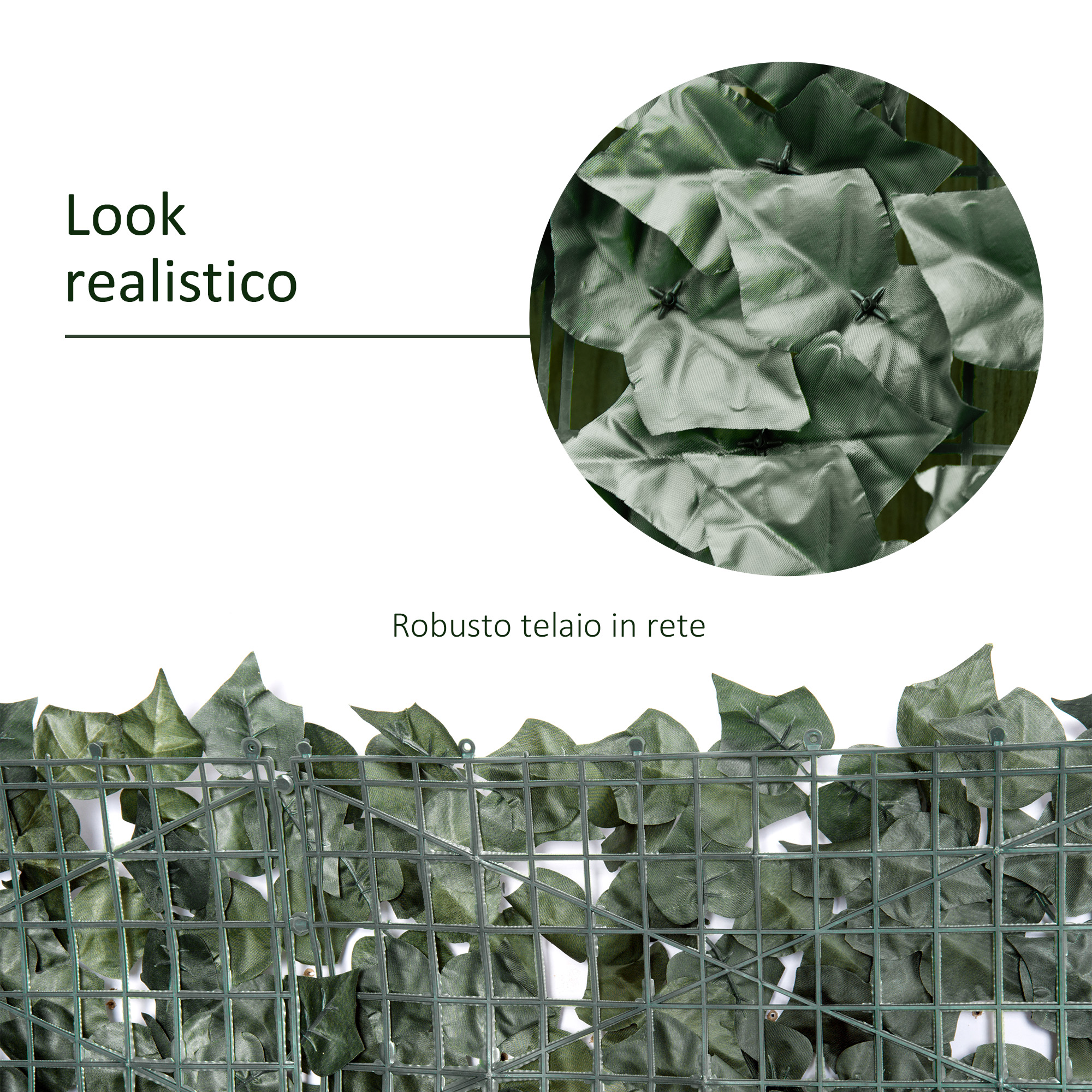 T1005-01-01091 image 3