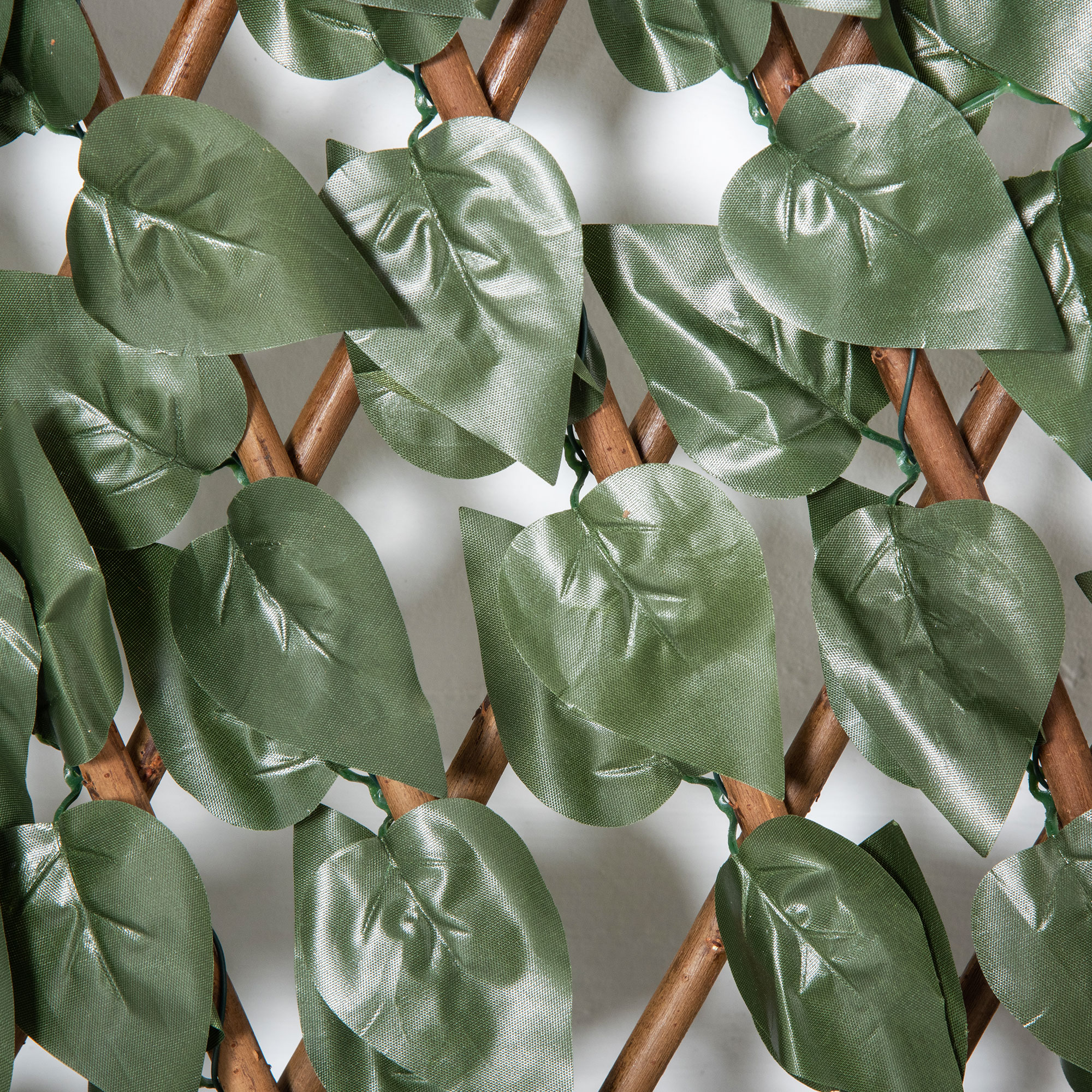 T1005-01-08343 image 6