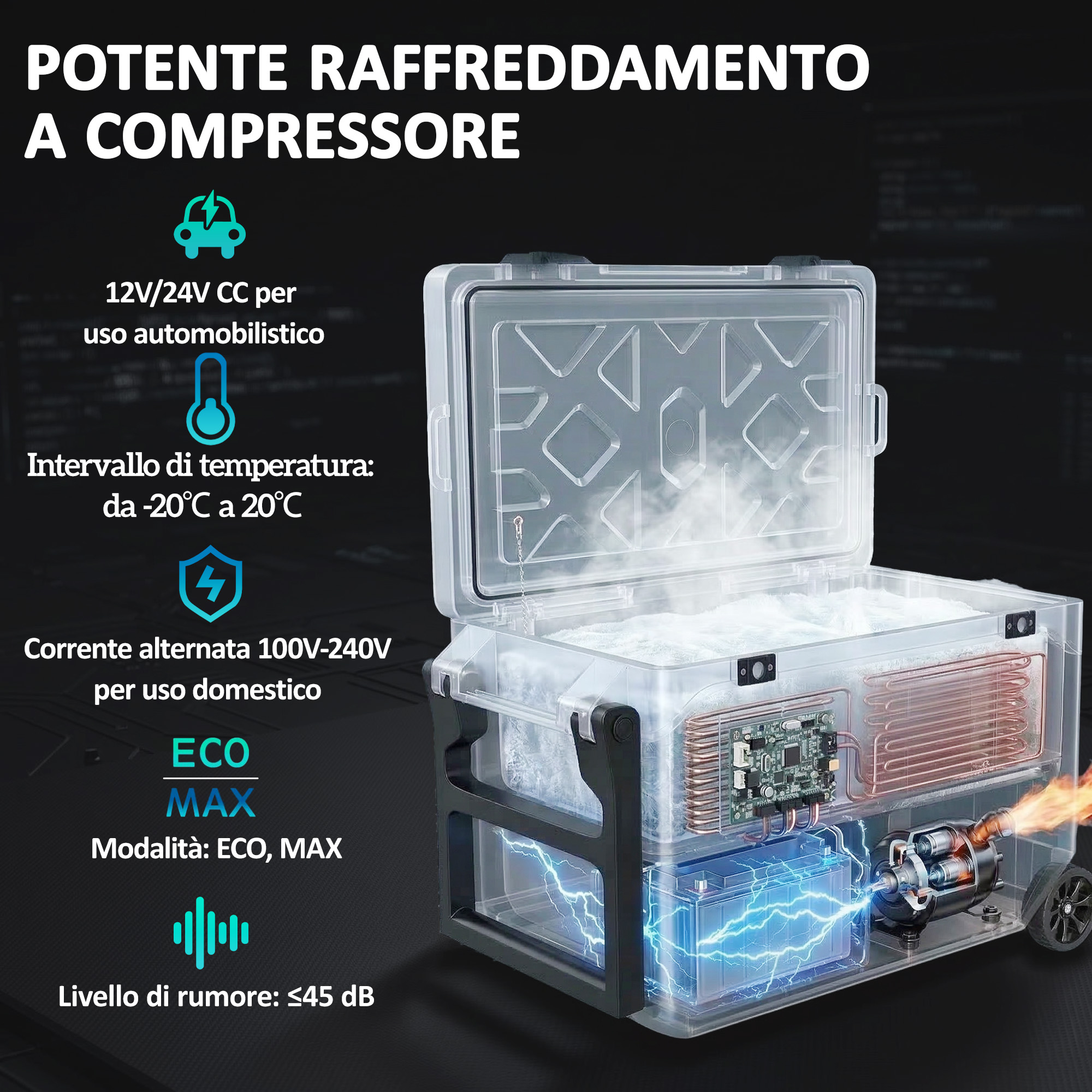 T1005-01-10061 image 1