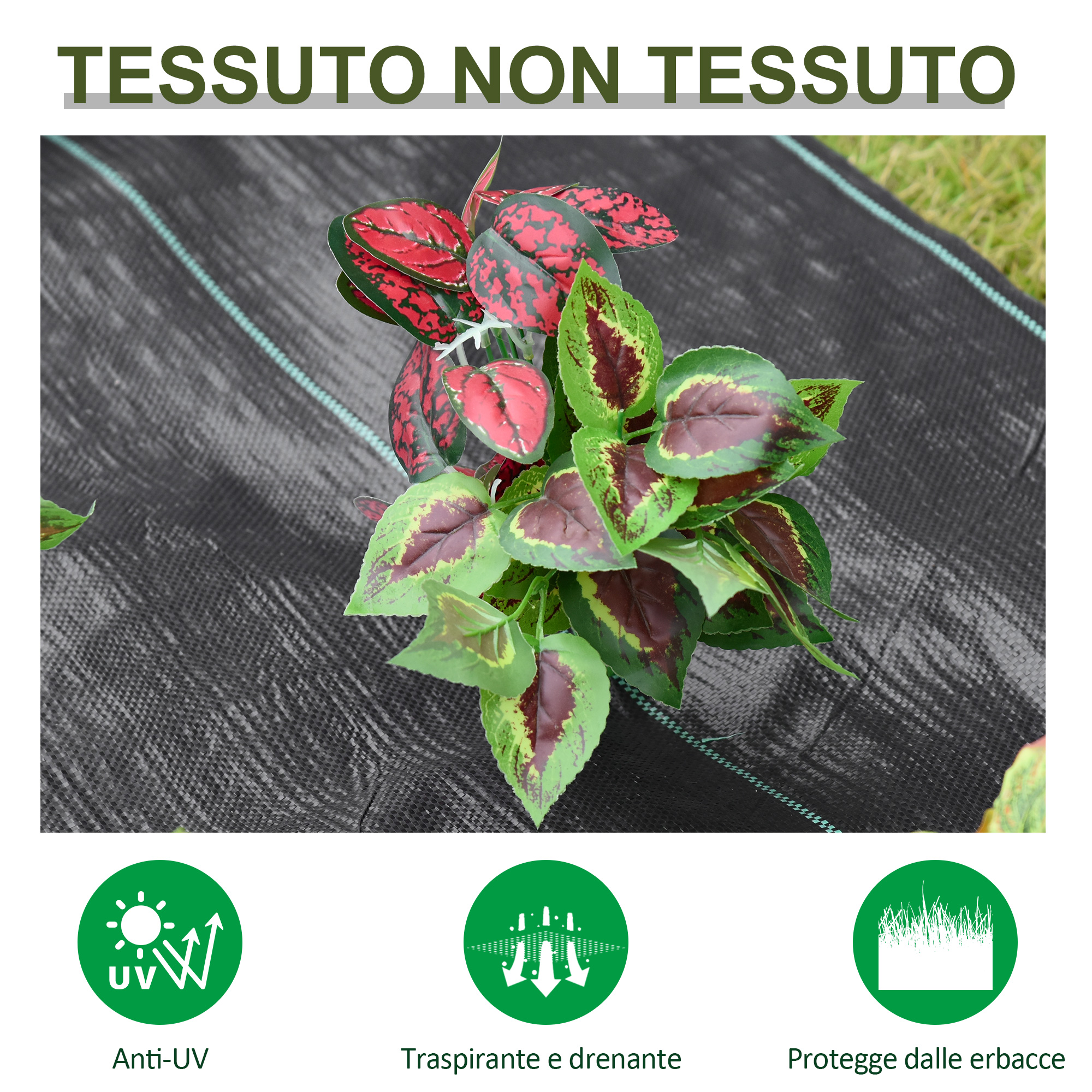 T1005-01-11154 image 2