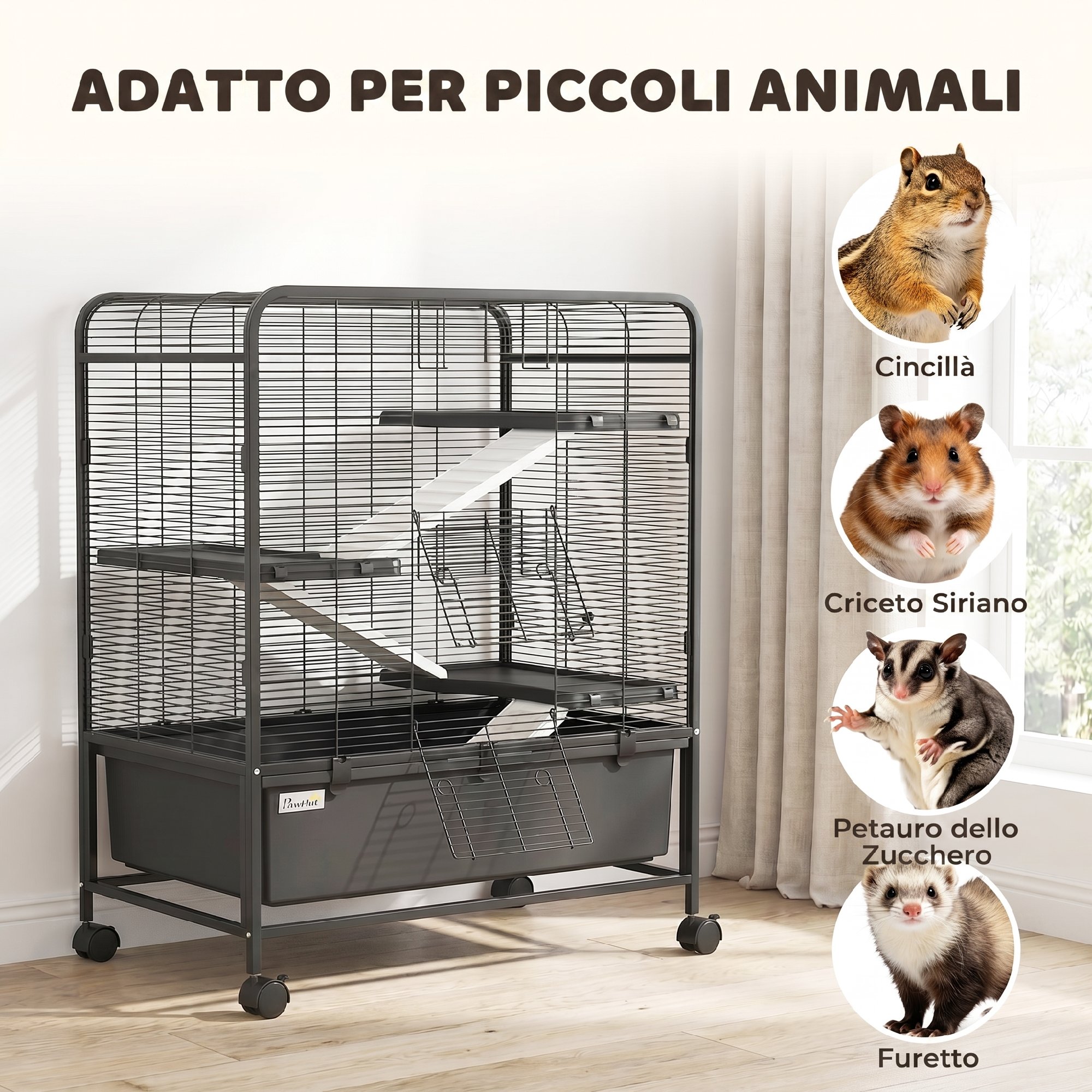 Immagine
