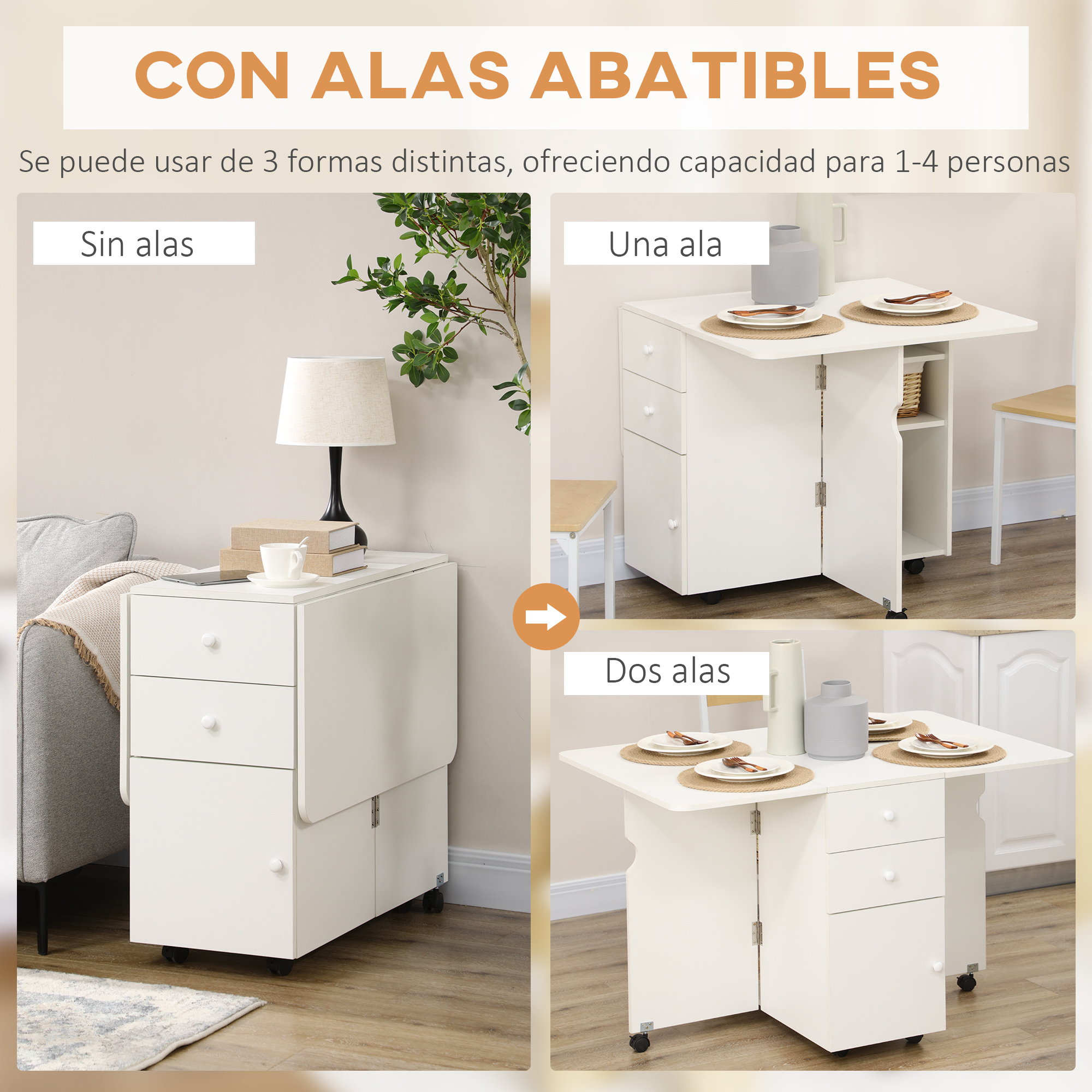 T1008-01-02151 image 1