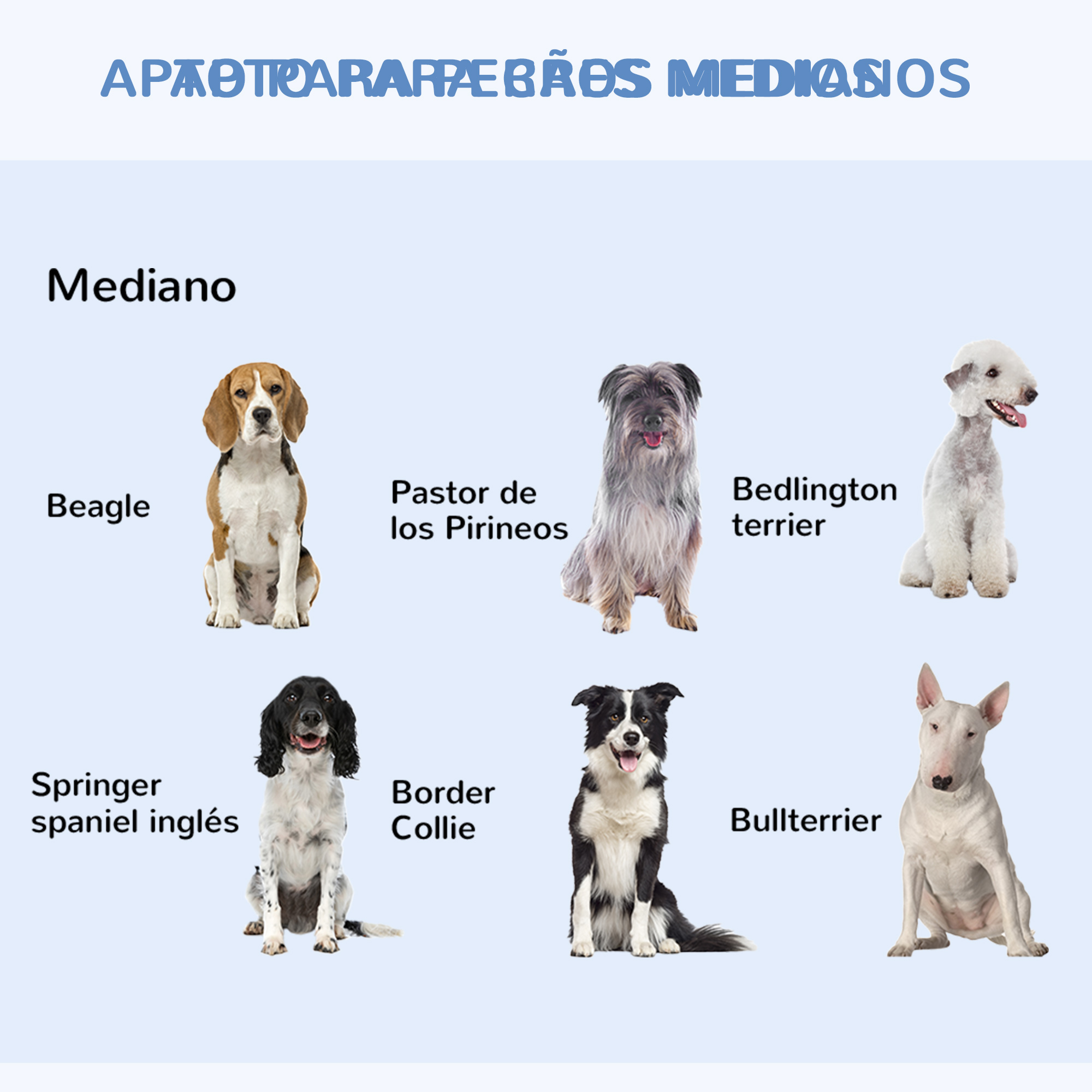 Dog Cage Medium Folding Wire With 2 Doors And Removable Tray_voghion.com
