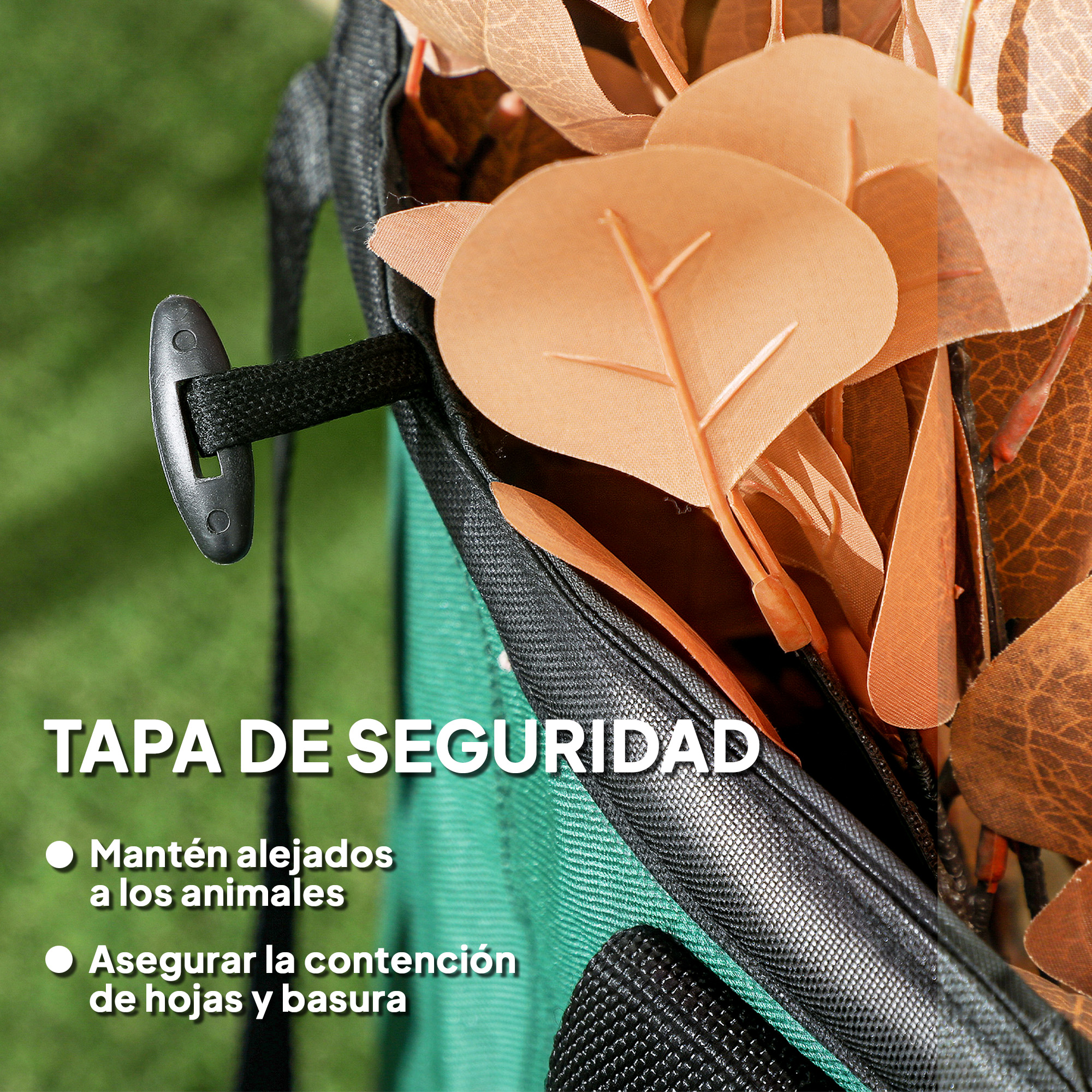 T1008-01-04527 image 3