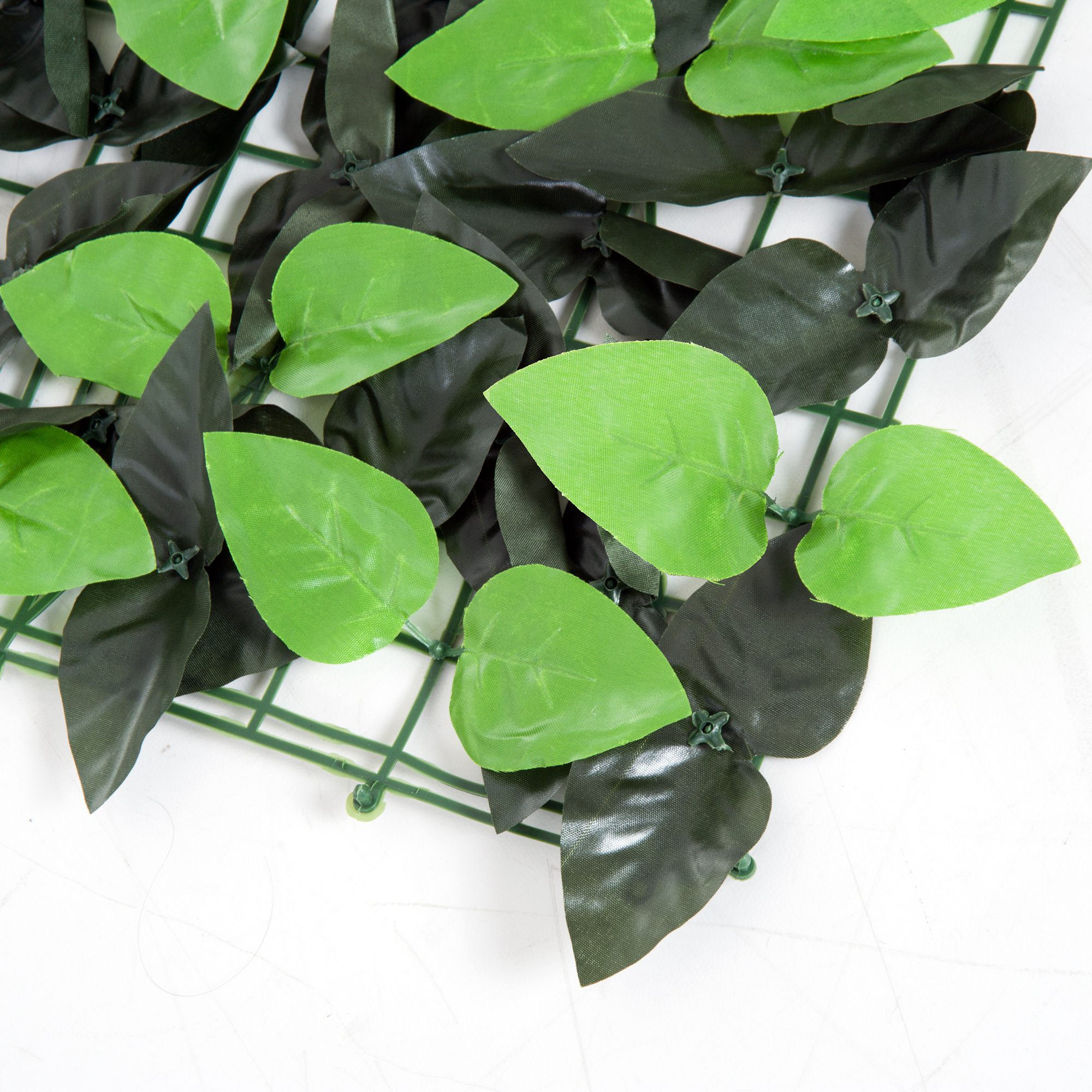T1008-01-01585 image 6