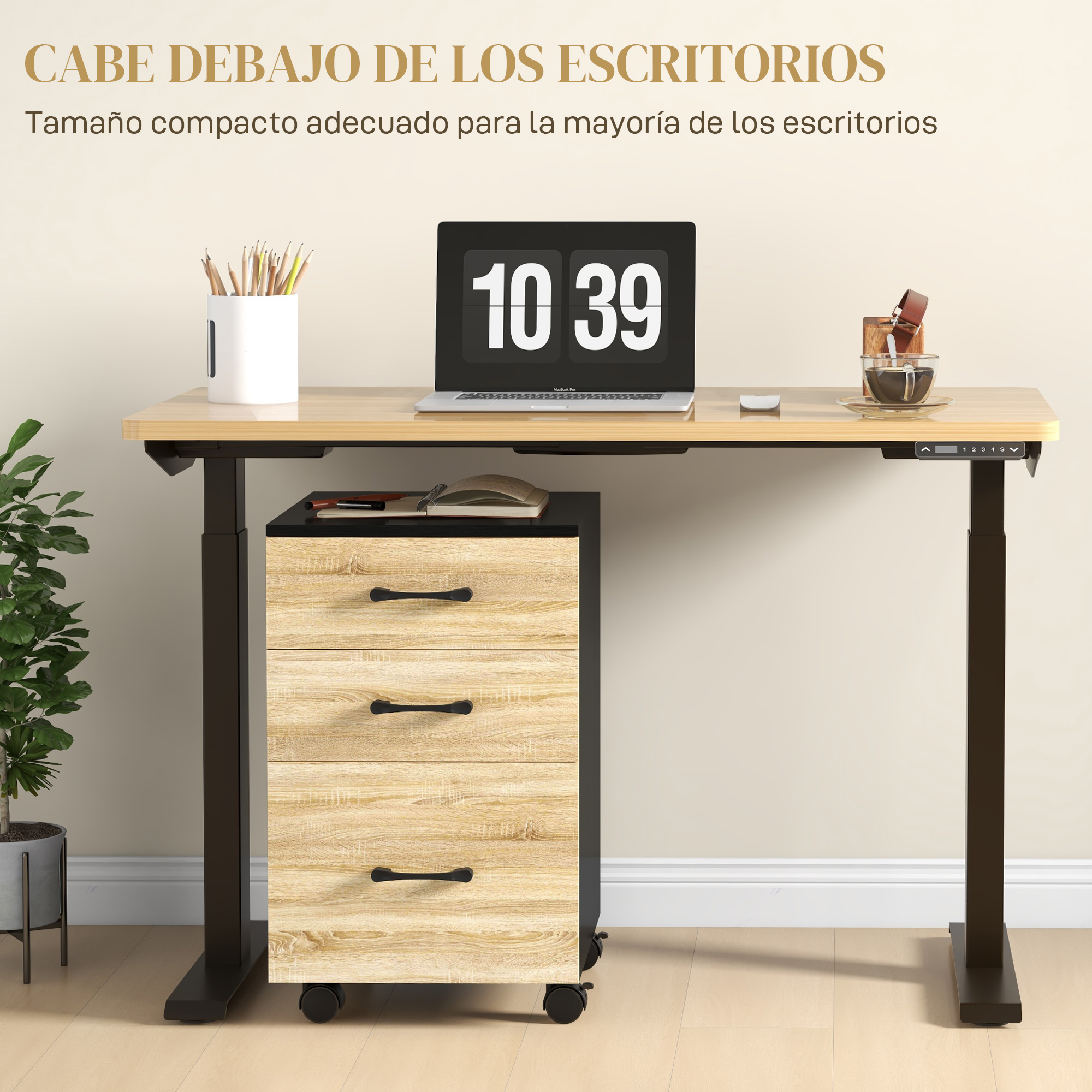 T1008-01-03091 image 4