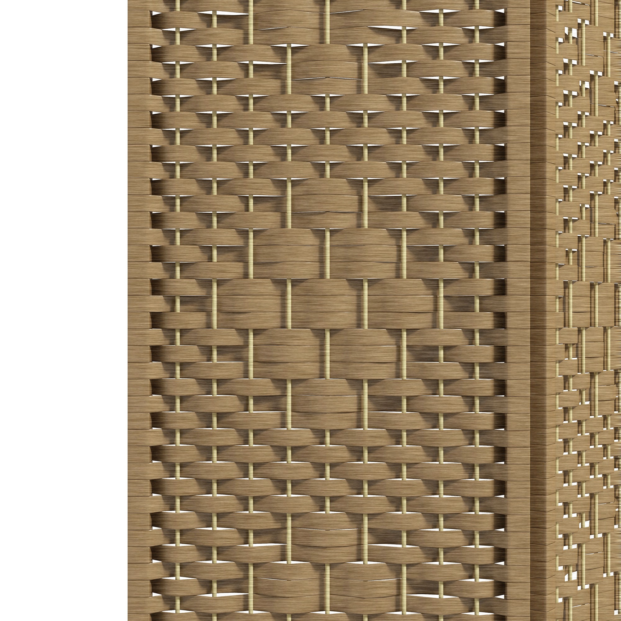 T1008-01-03157 image 5