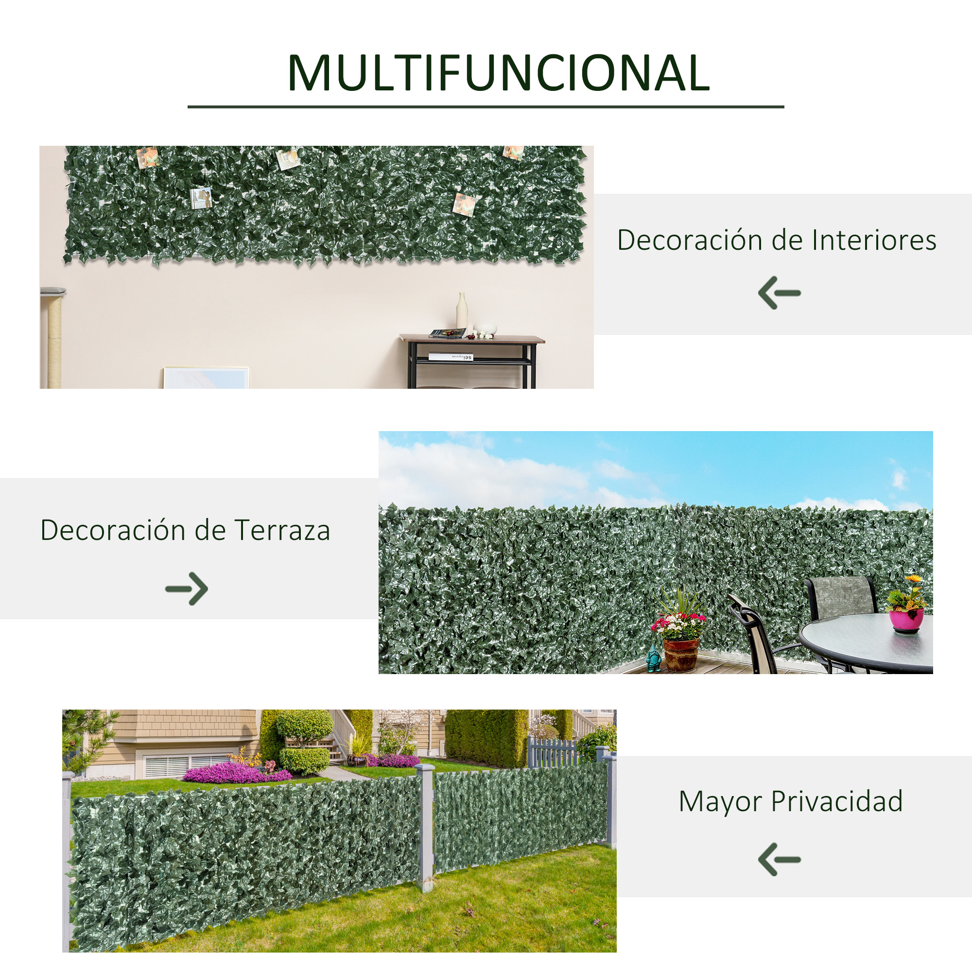 T1008-01-01544 image 2