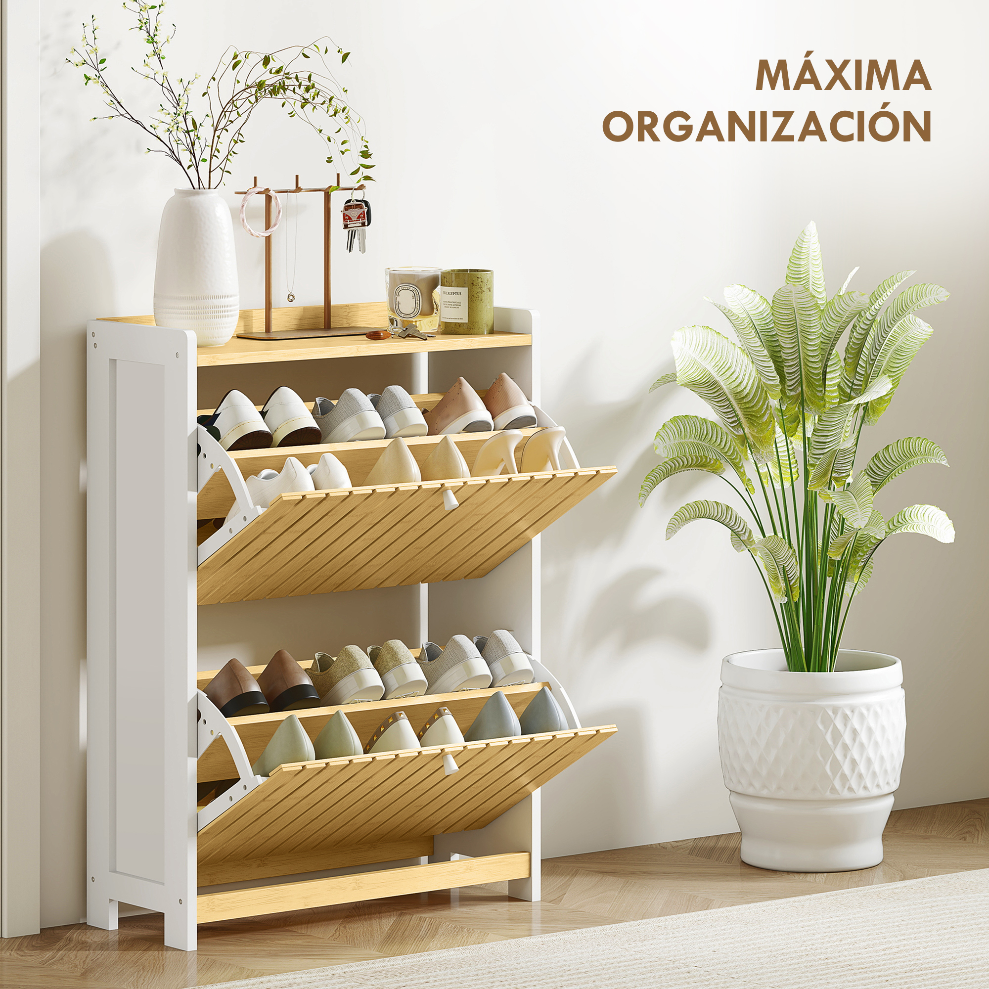 T1008-01-04977 image 1