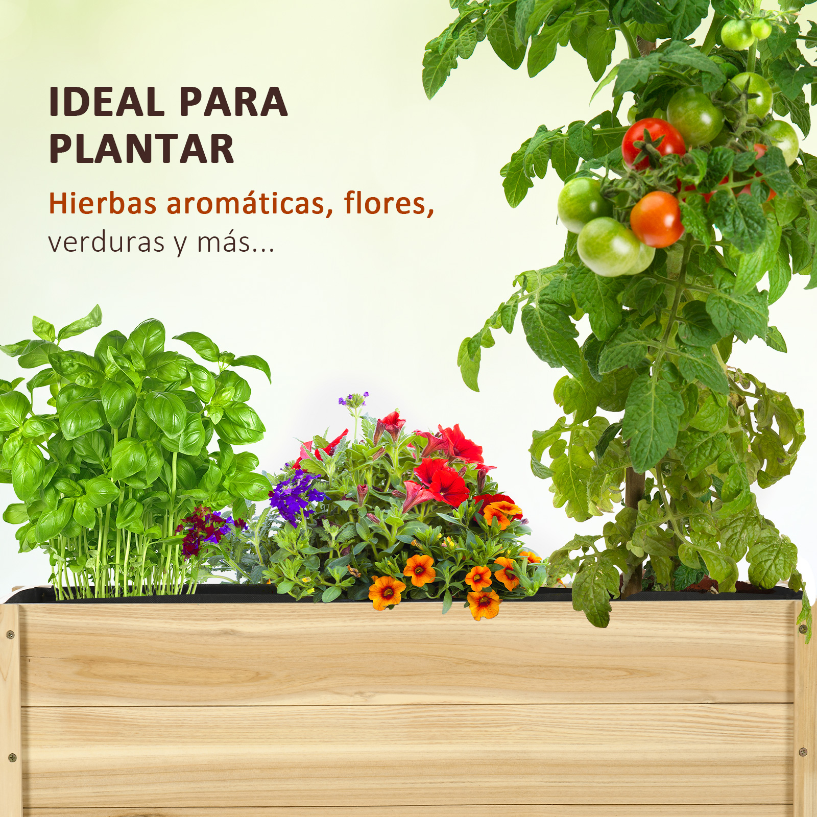 T1008-01-02046 image 1