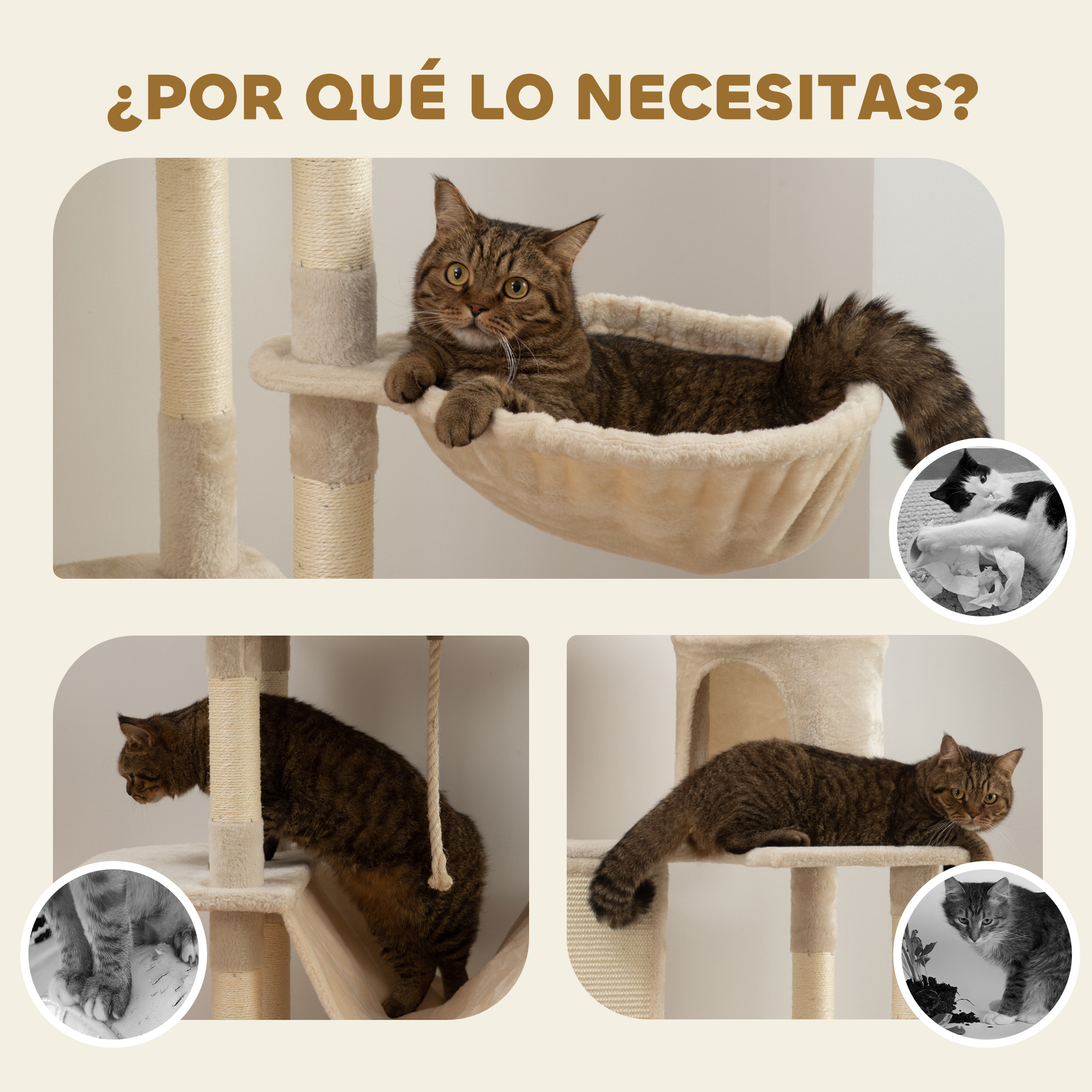 Arbre À Chat De Grande Hauteur Avec Multiples Plateformes Et Hamacs_voghion.com