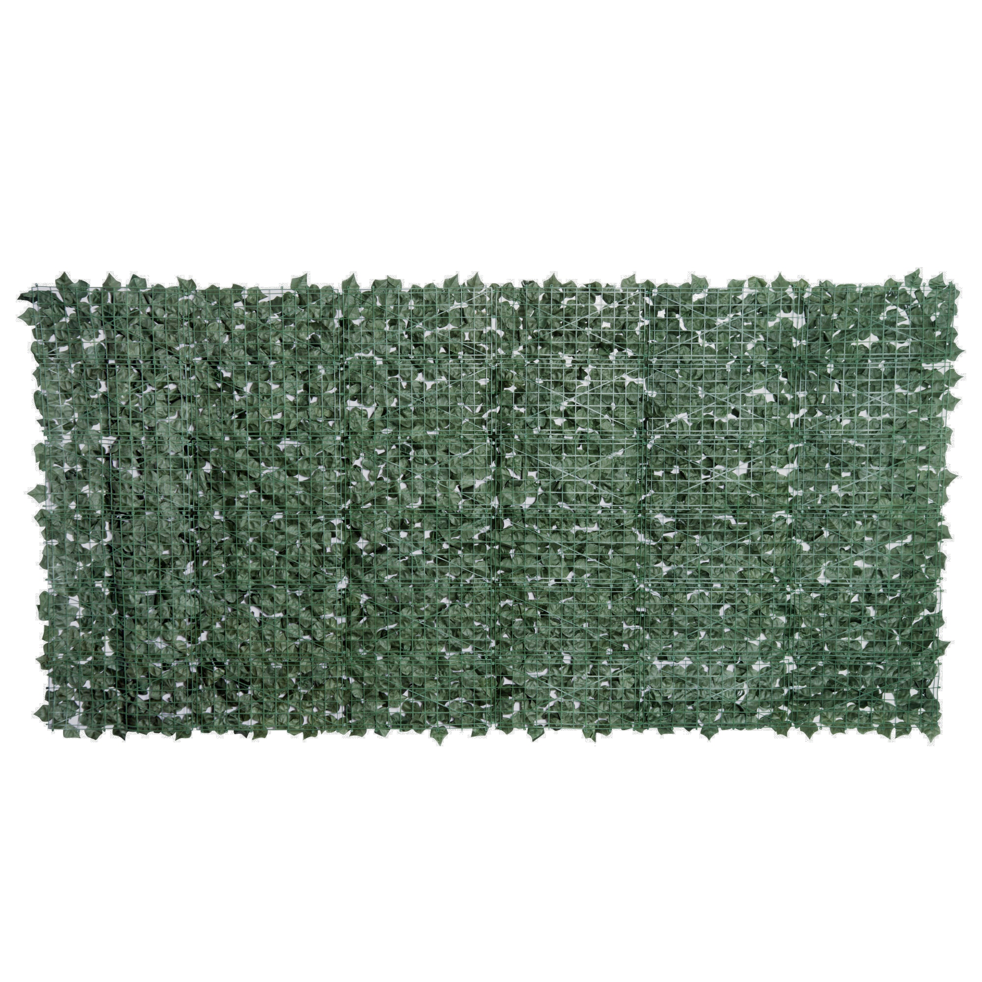 T1008-01-01543 image 6