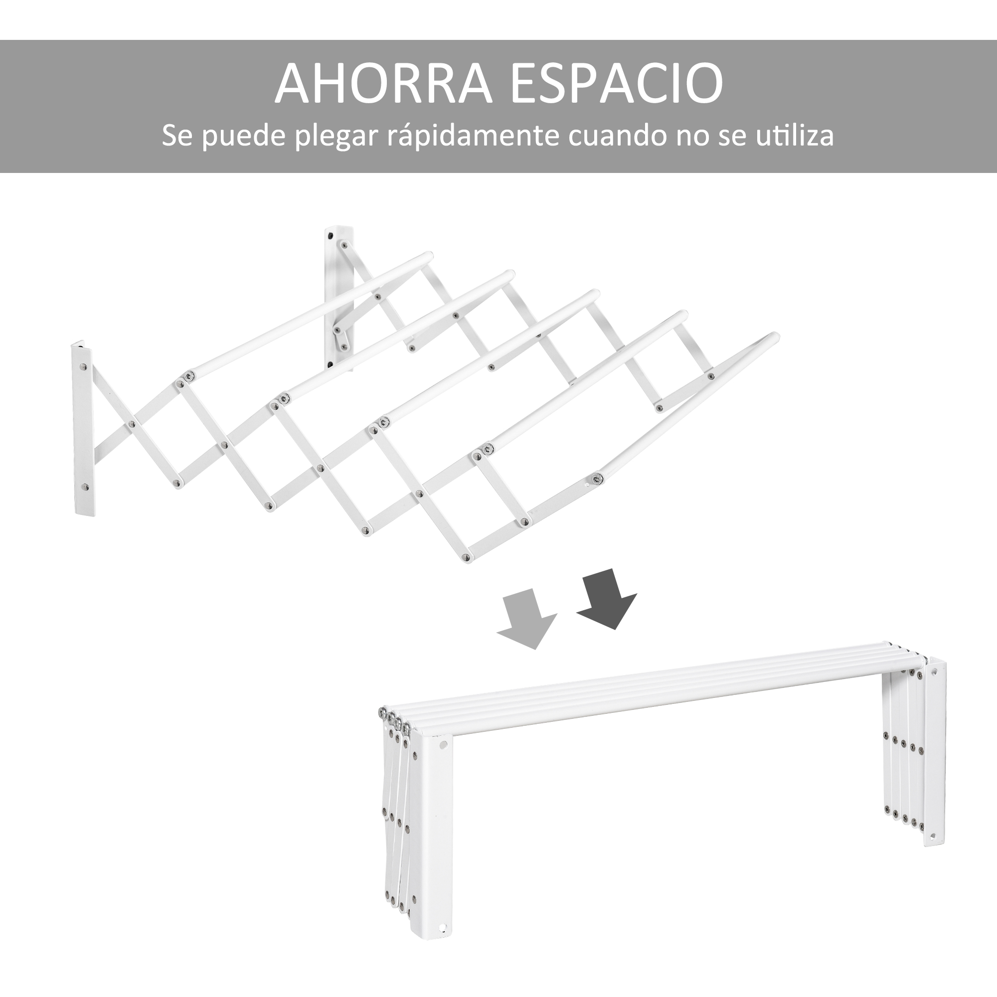 T1008-01-00752 image 2