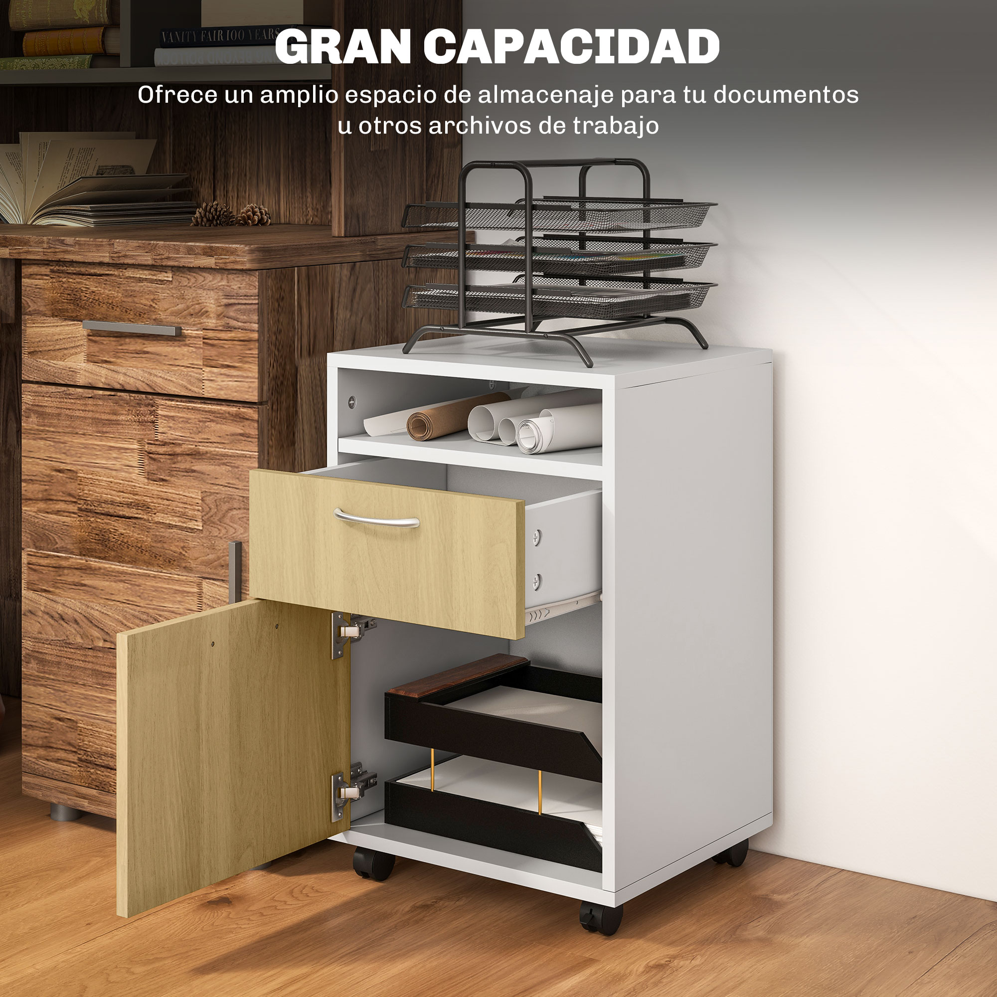 T1008-01-03303 image 1