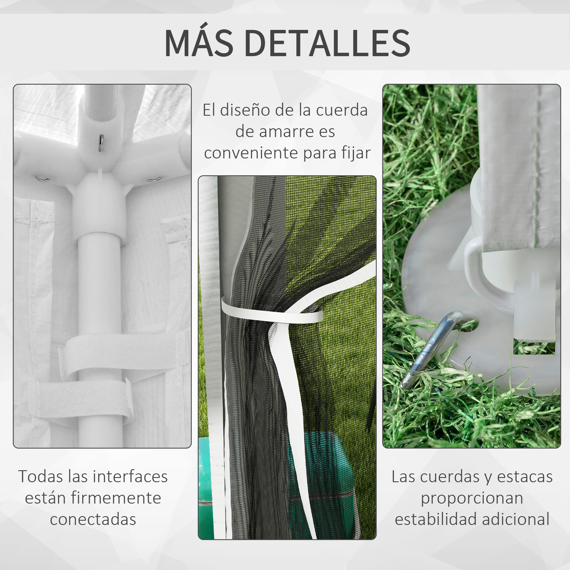 T1008-01-02732 image 3