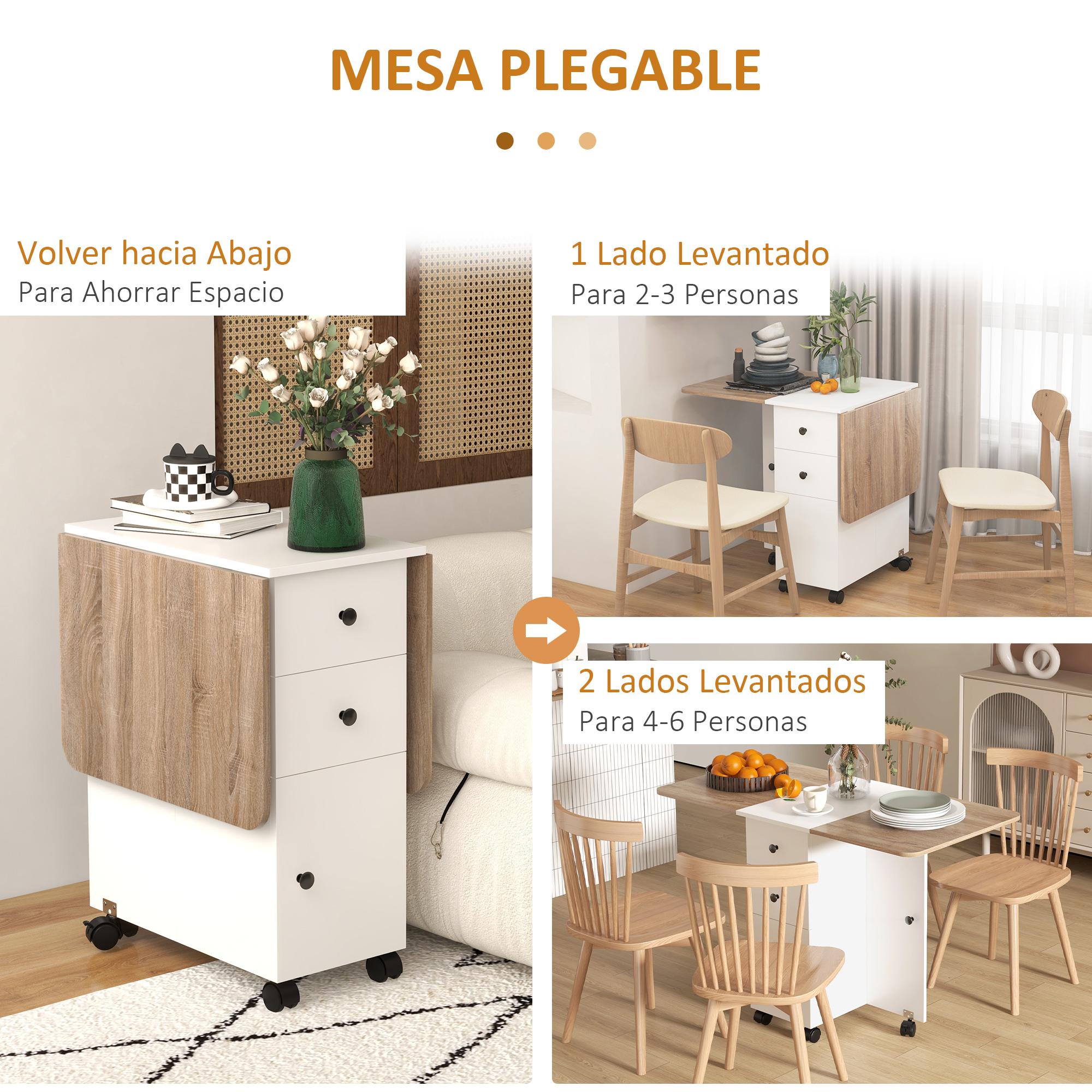 T1008-01-05486 image 2
