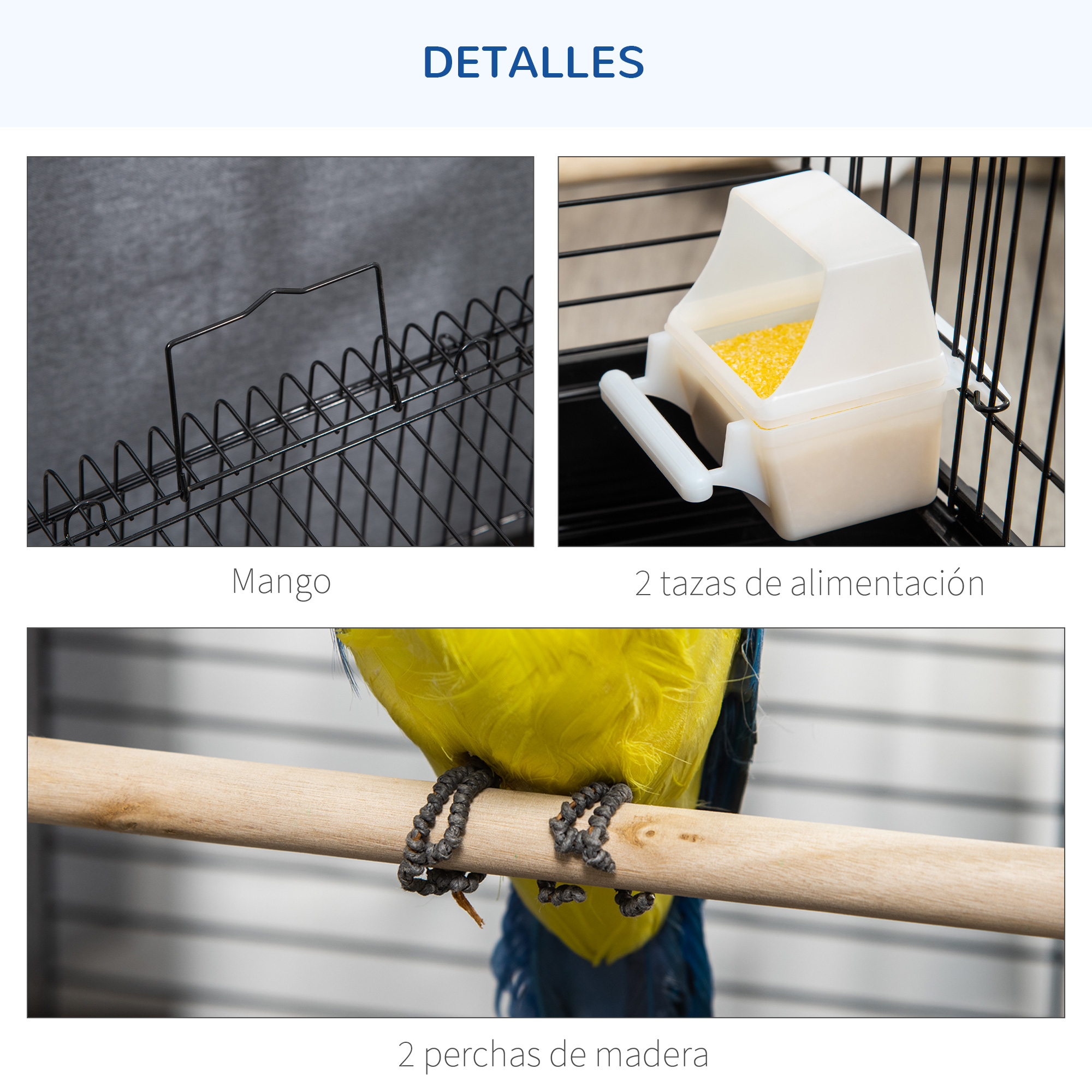 T1008-01-02177 image 4