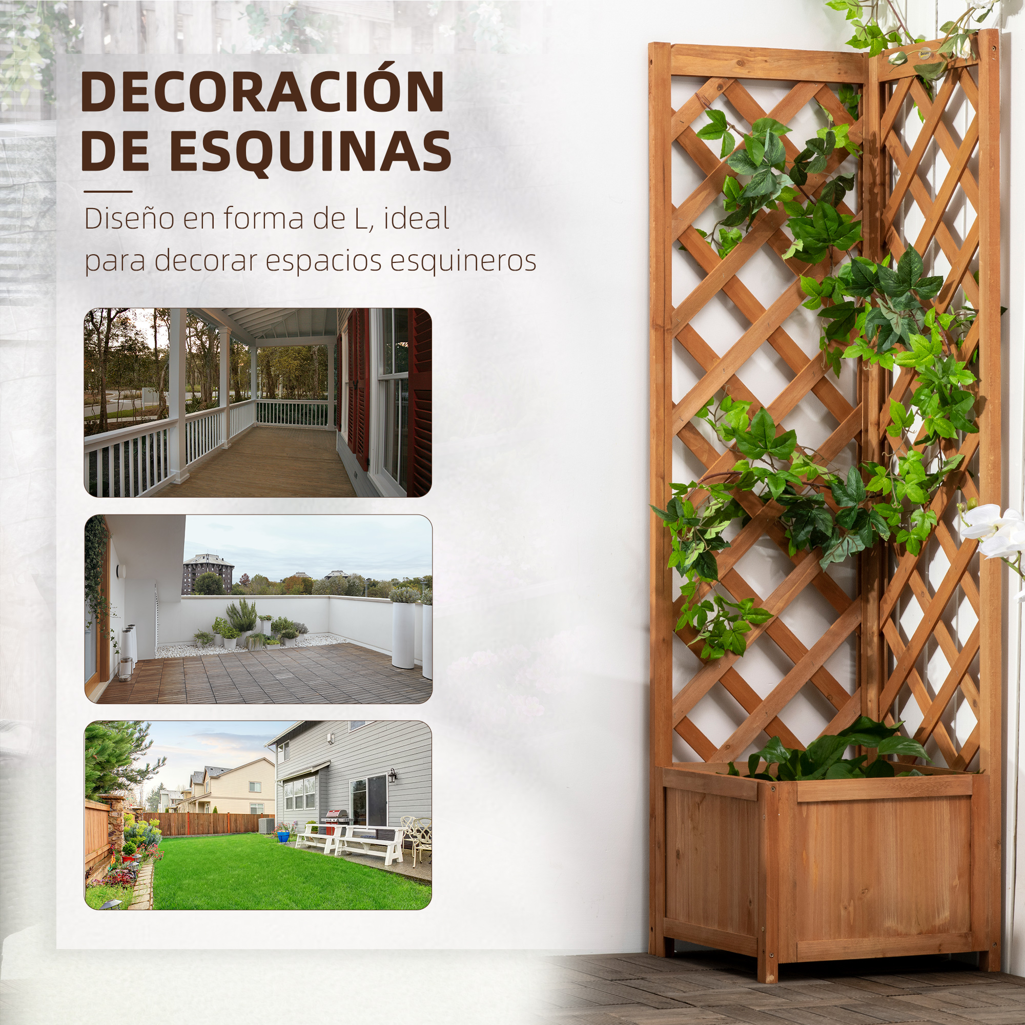 T1008-01-01932 image 3