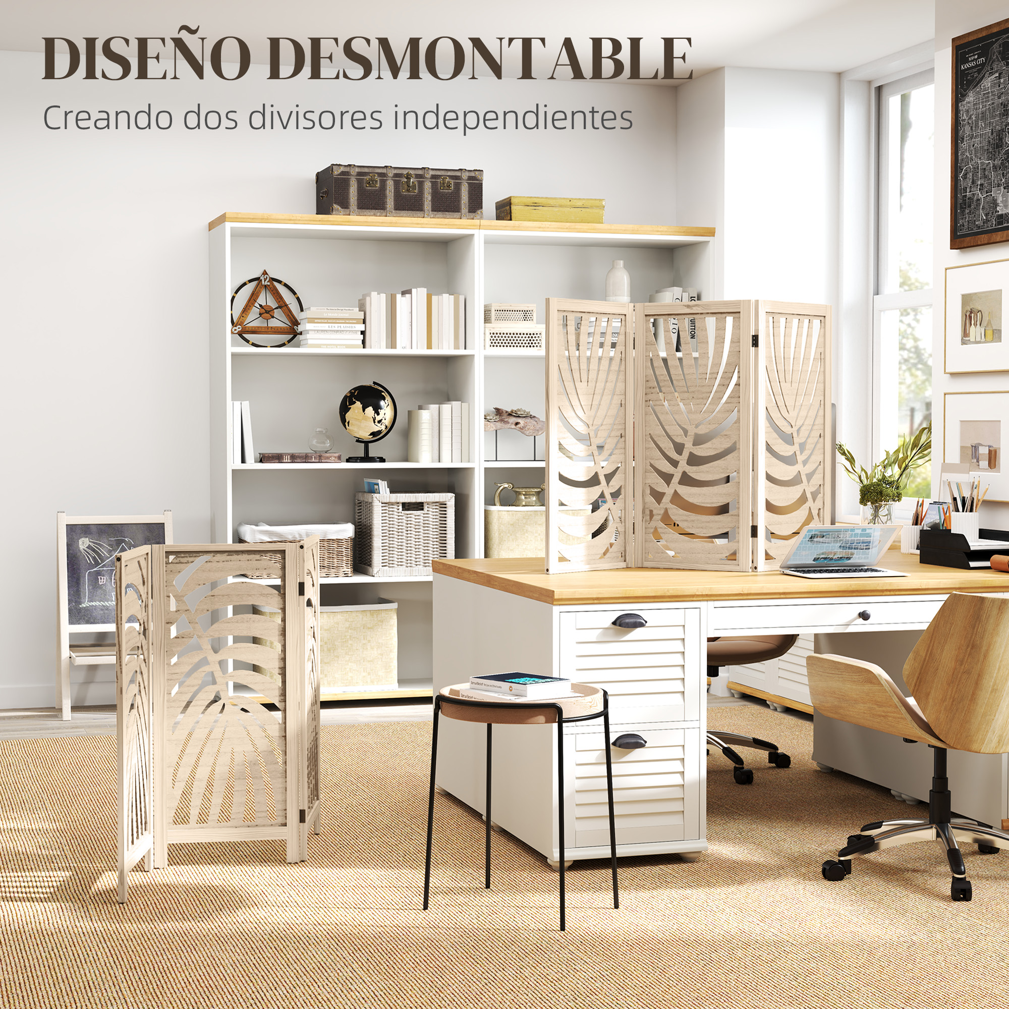 T1008-01-04342 image 1