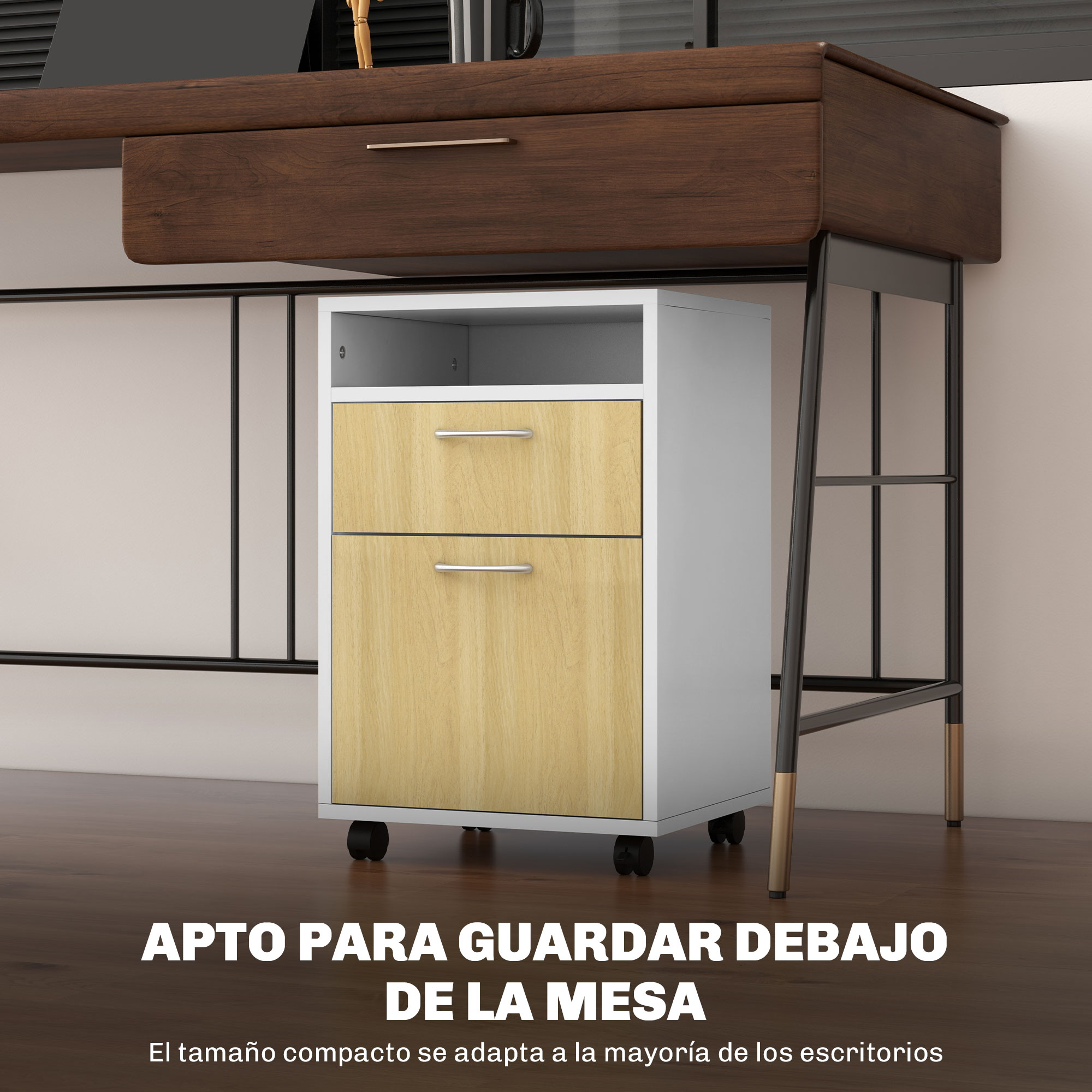T1008-01-03303 image 2