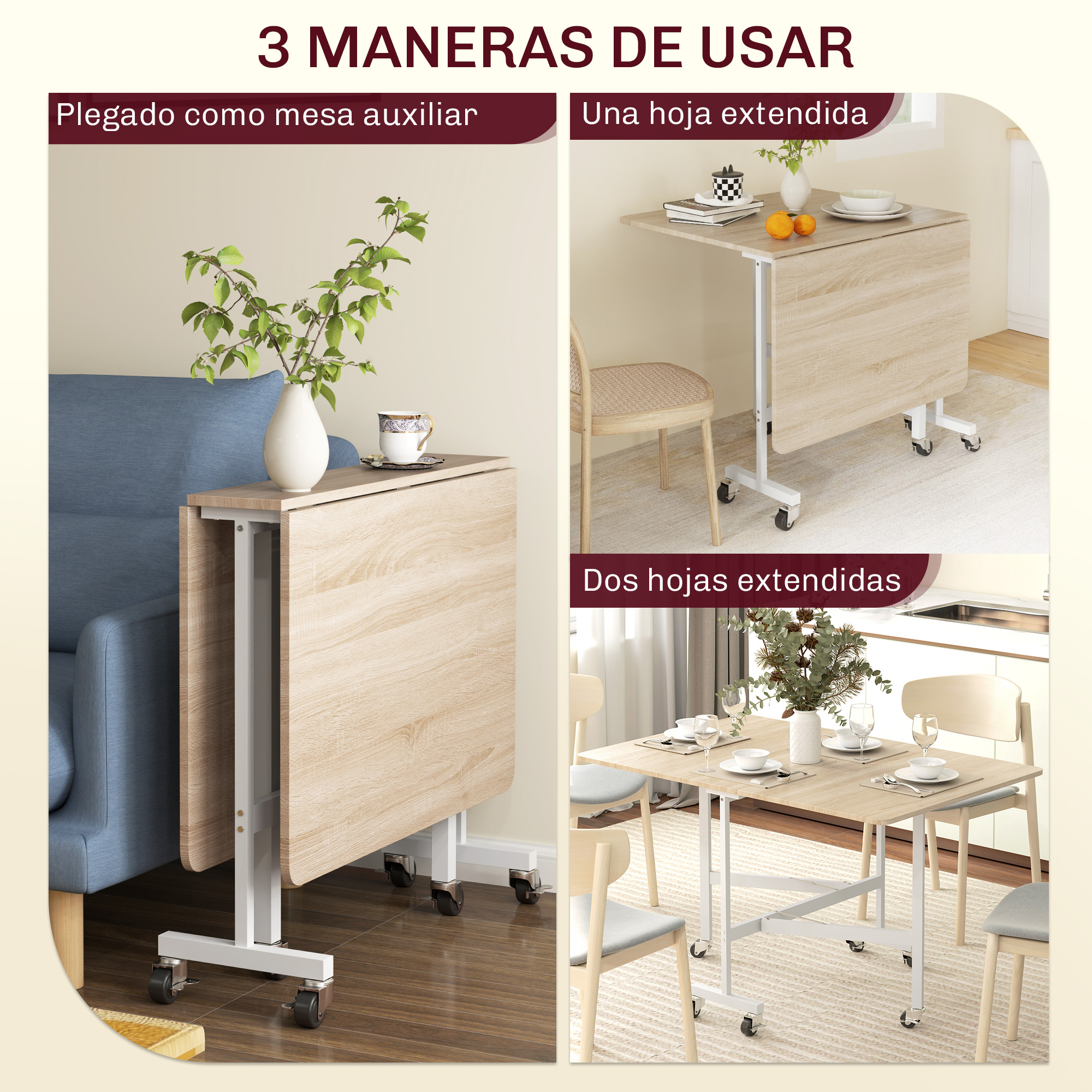 T1008-01-03809 image 1