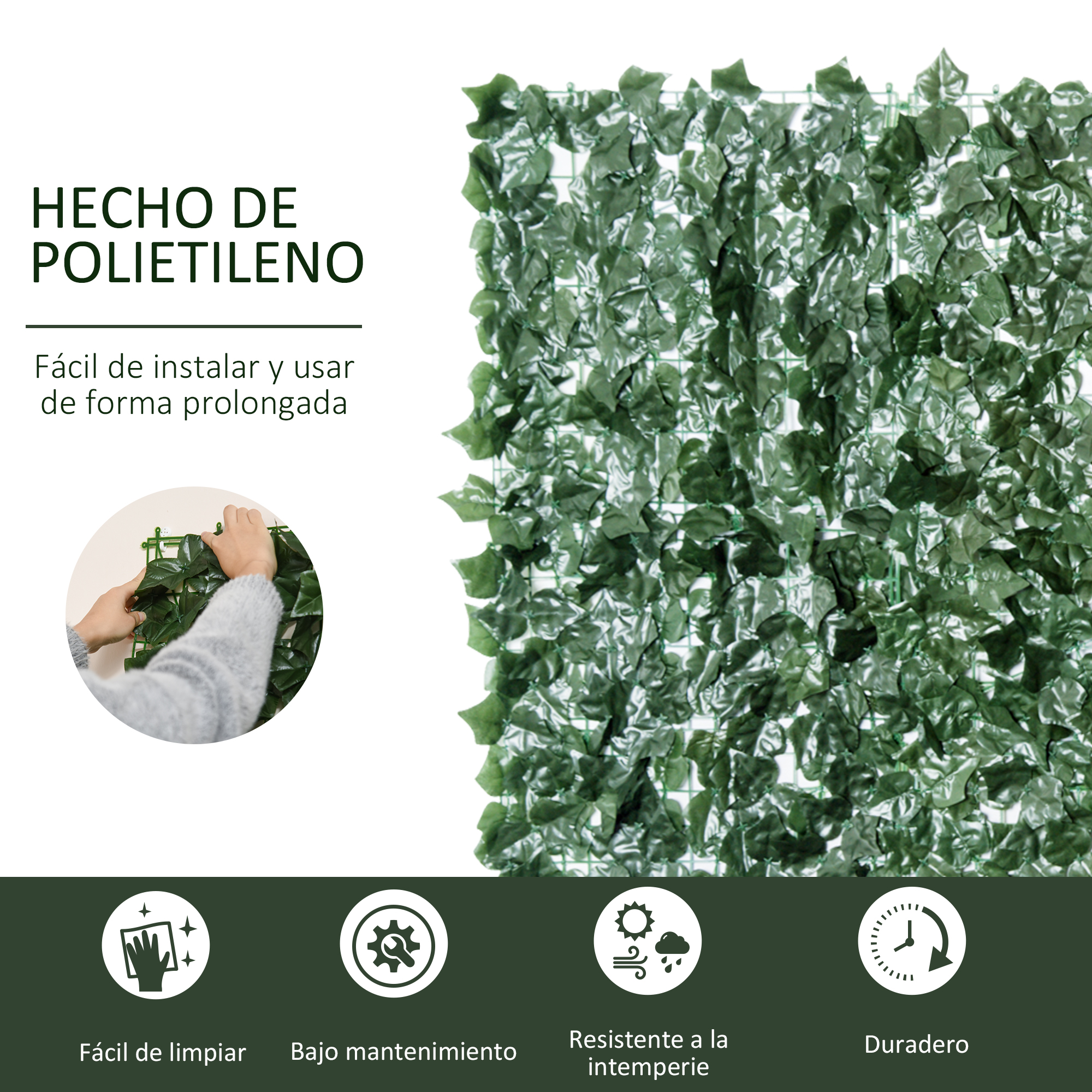 T1008-01-01543 image 1
