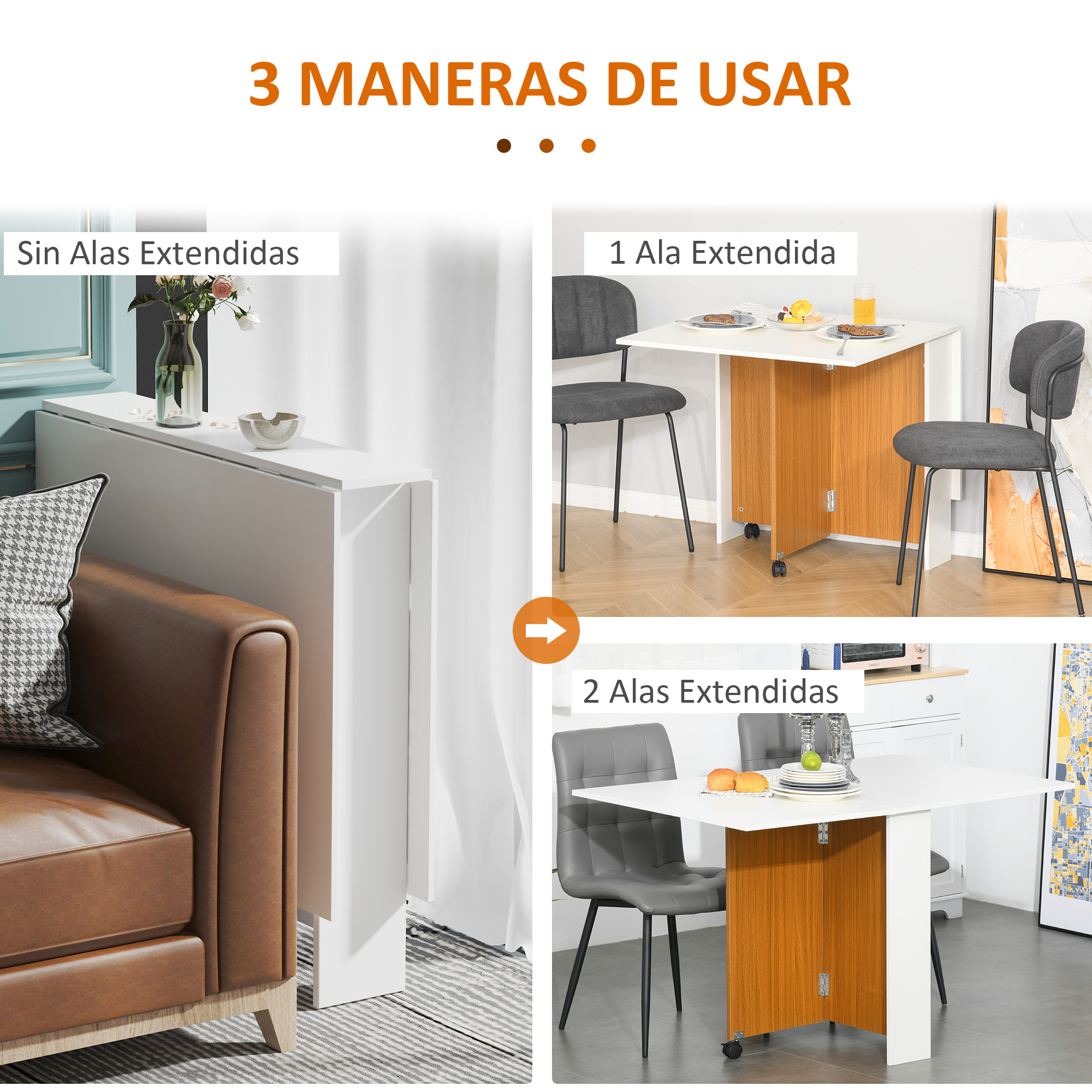 T1008-01-00531 image 1