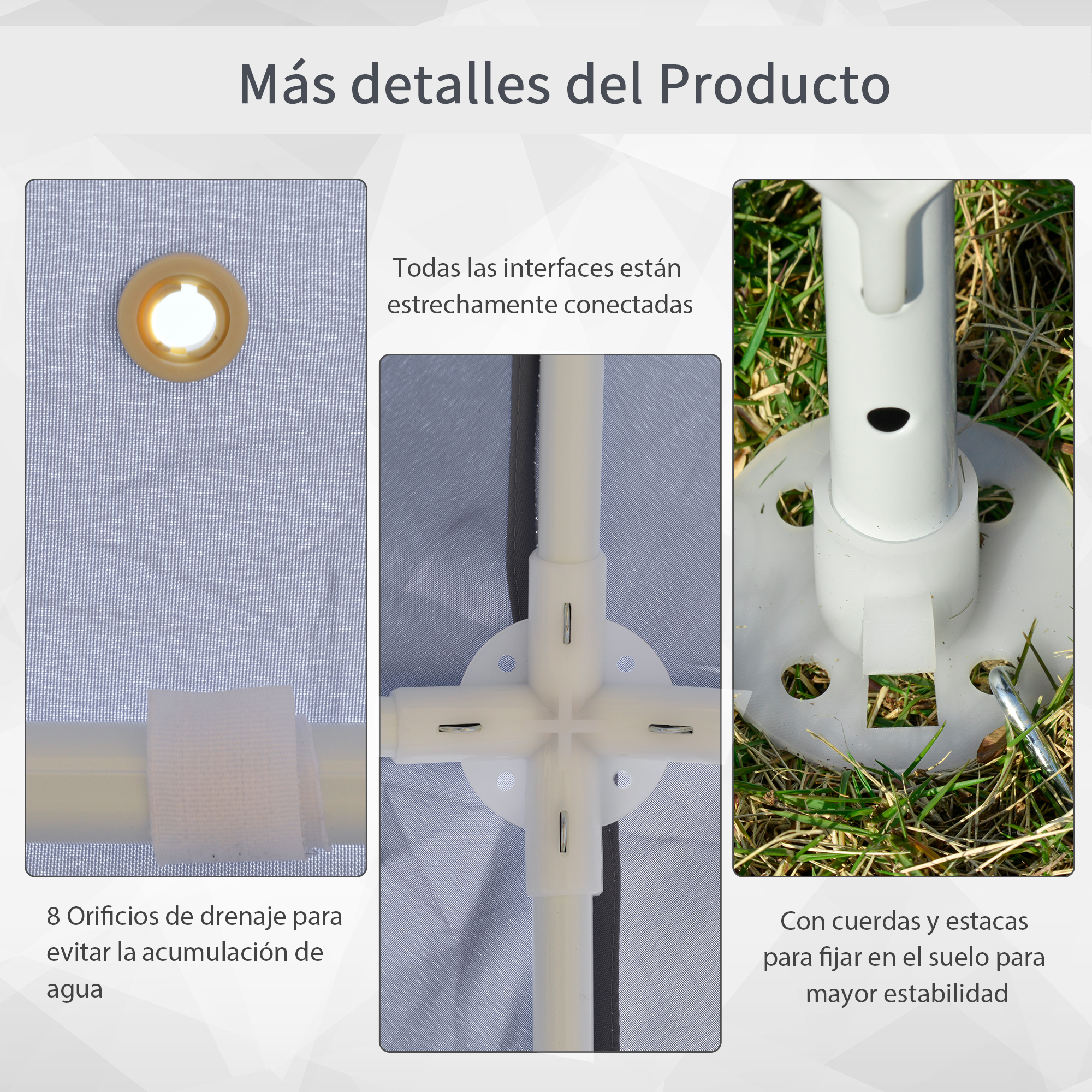 T1008-01-00924 image 3