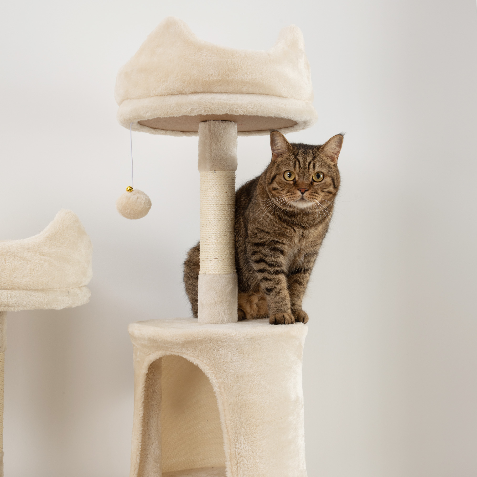 Arbre À Chat De Grande Hauteur Avec Multiples Plateformes Et Hamacs_voghion.com