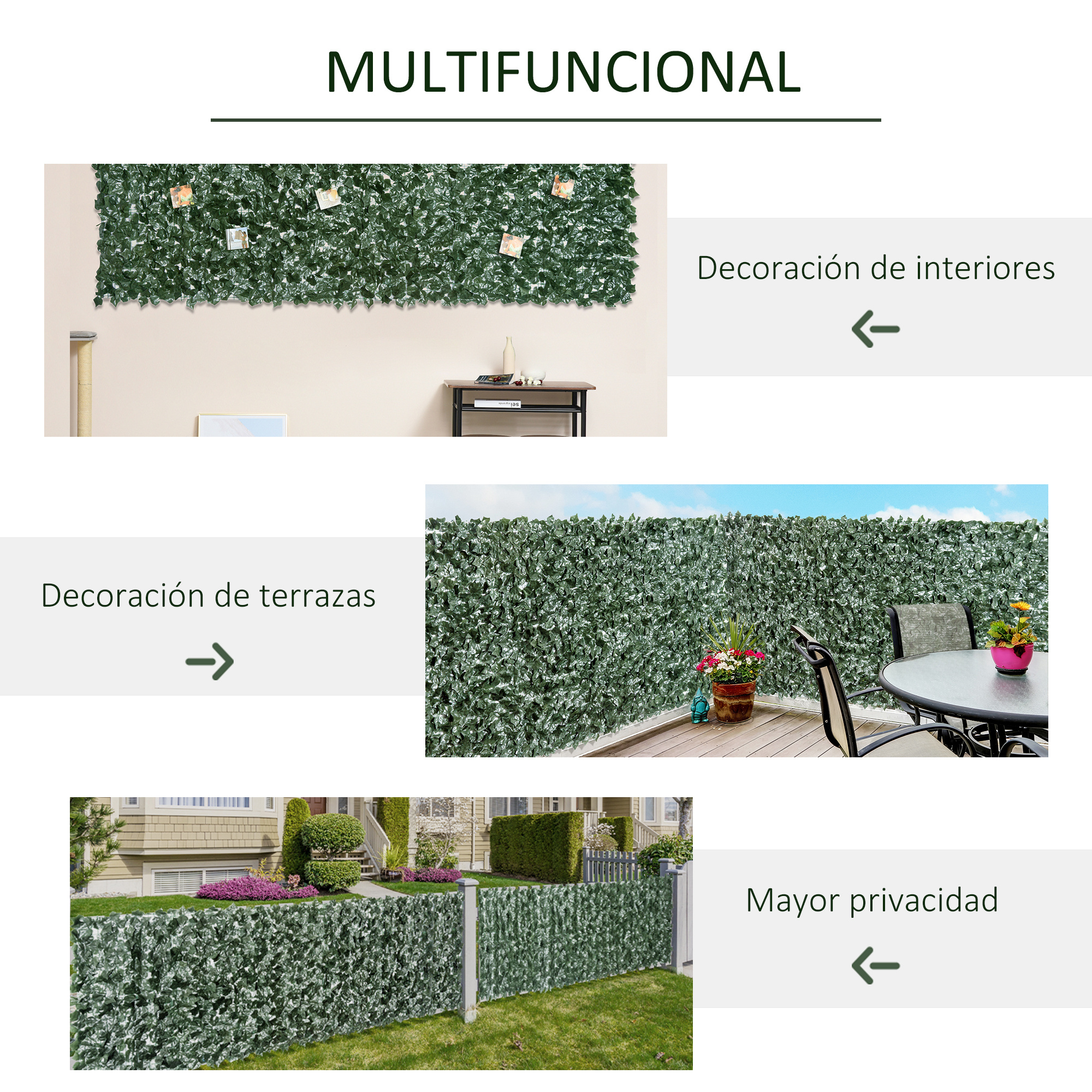 T1008-01-01543 image 2