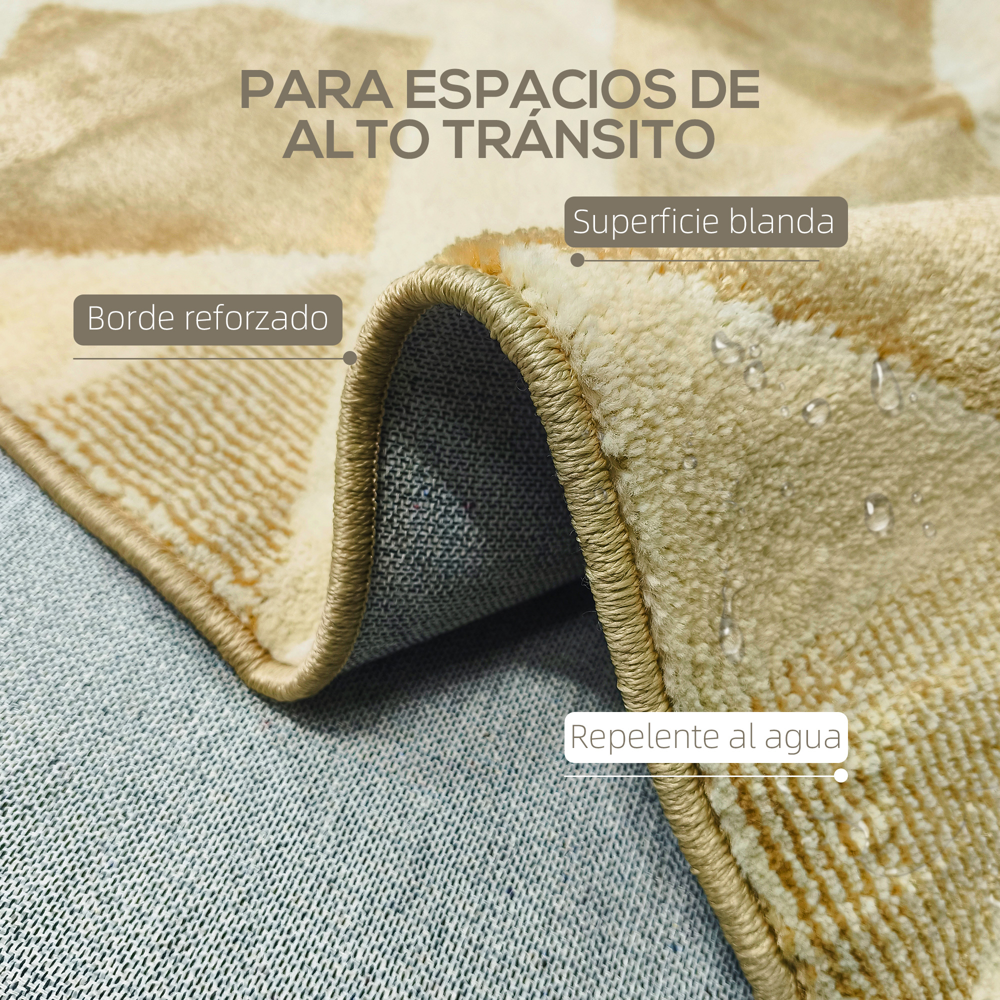 T1008-01-05058 image 2